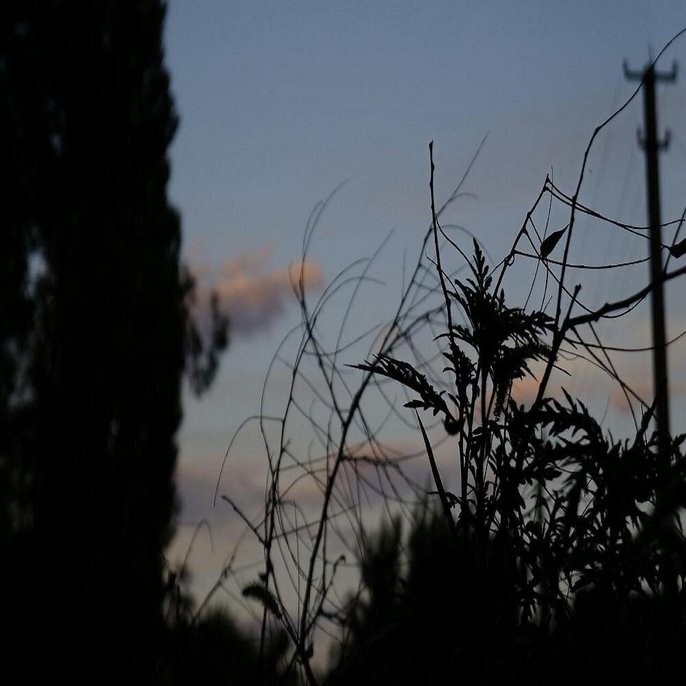 Релиз Анестезия