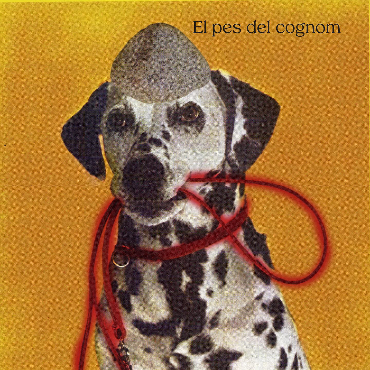 Релиз El pes del cognom