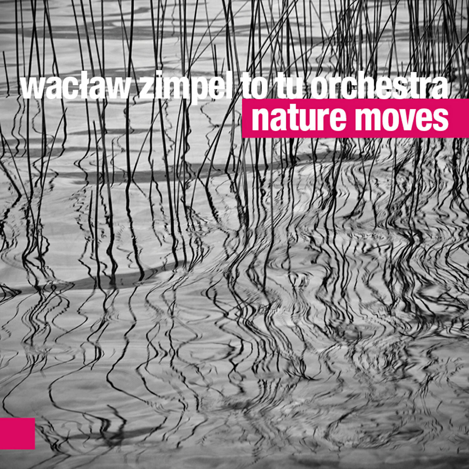 Релиз Nature Moves