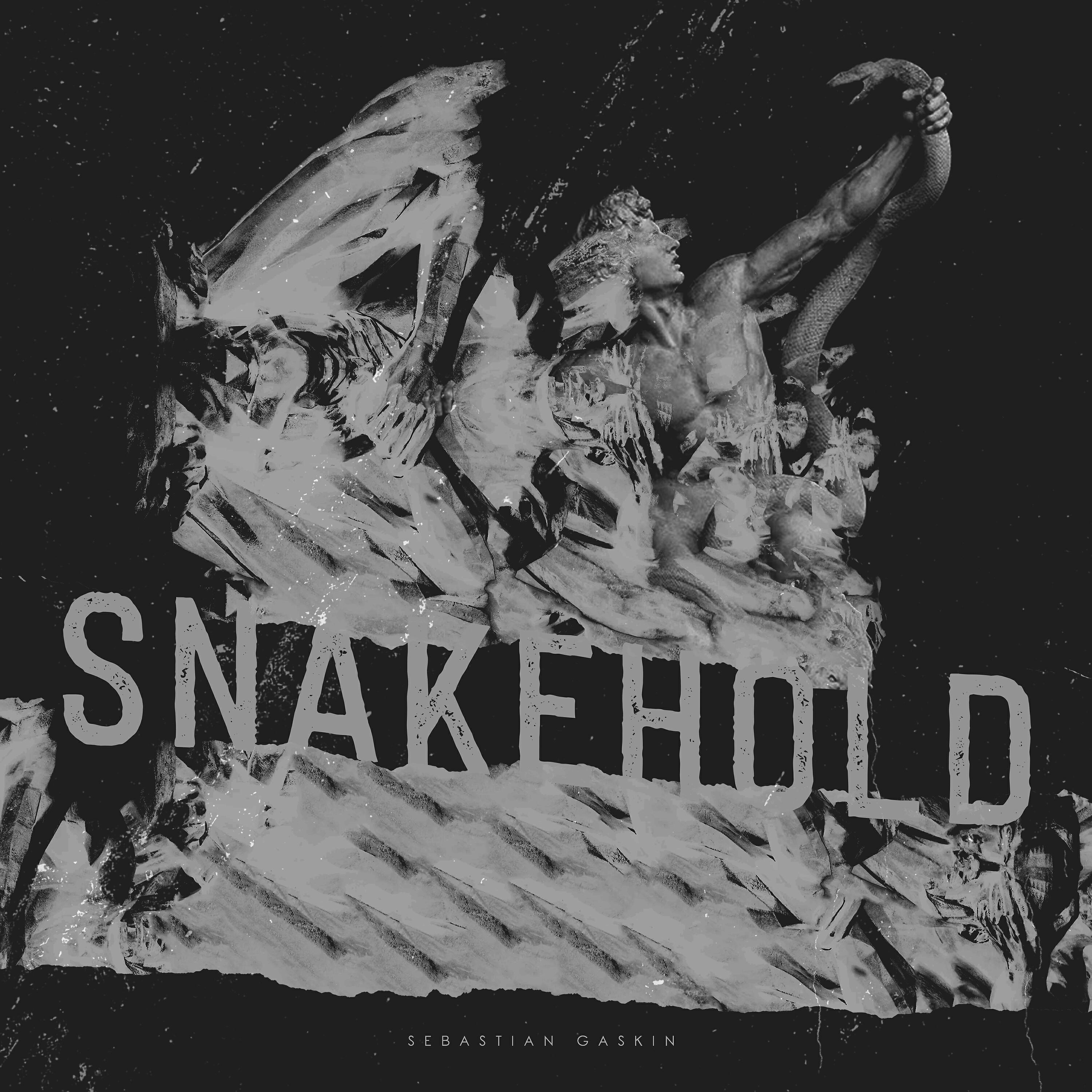 Постер альбома Snakehold