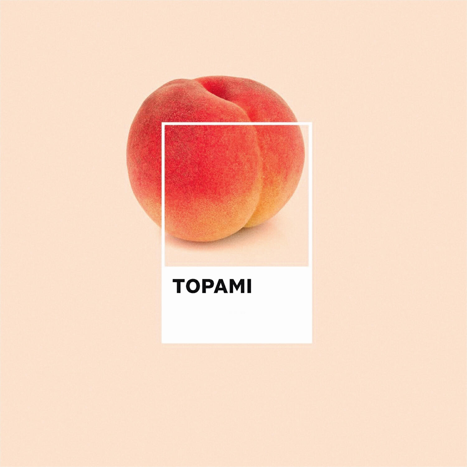 Релиз TOPAMI