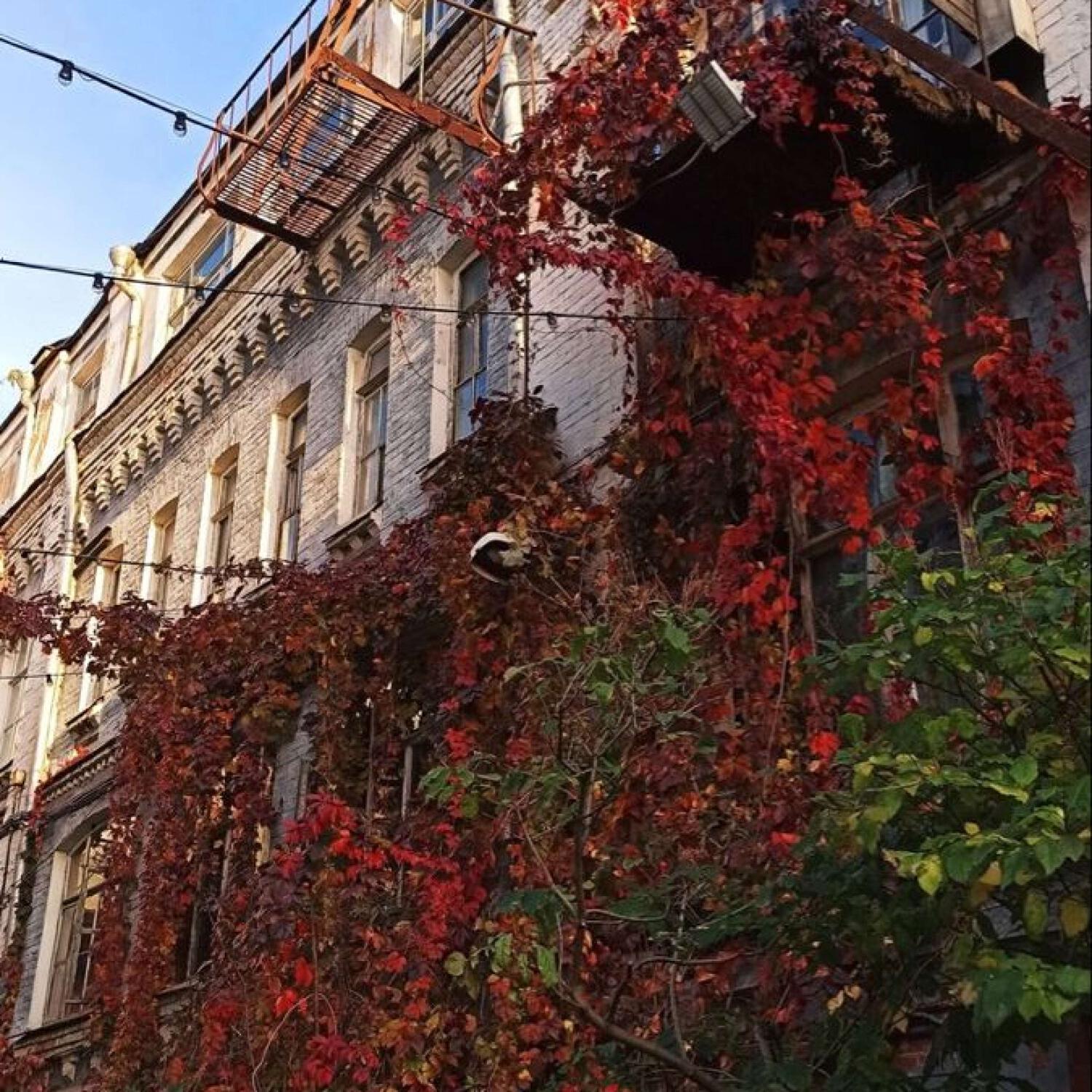 Релиз Небо на куски