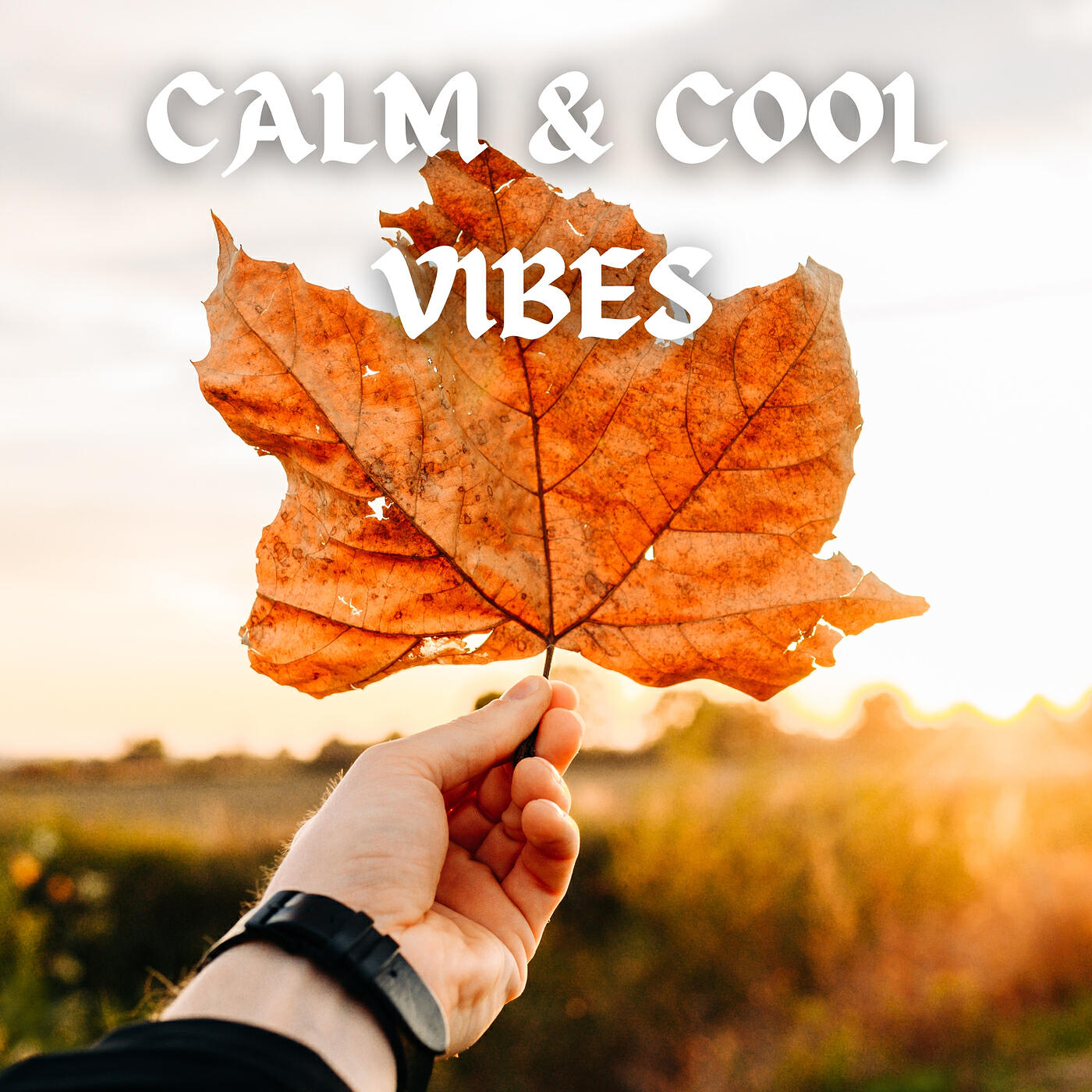 Релиз Calm & Cool Vibes