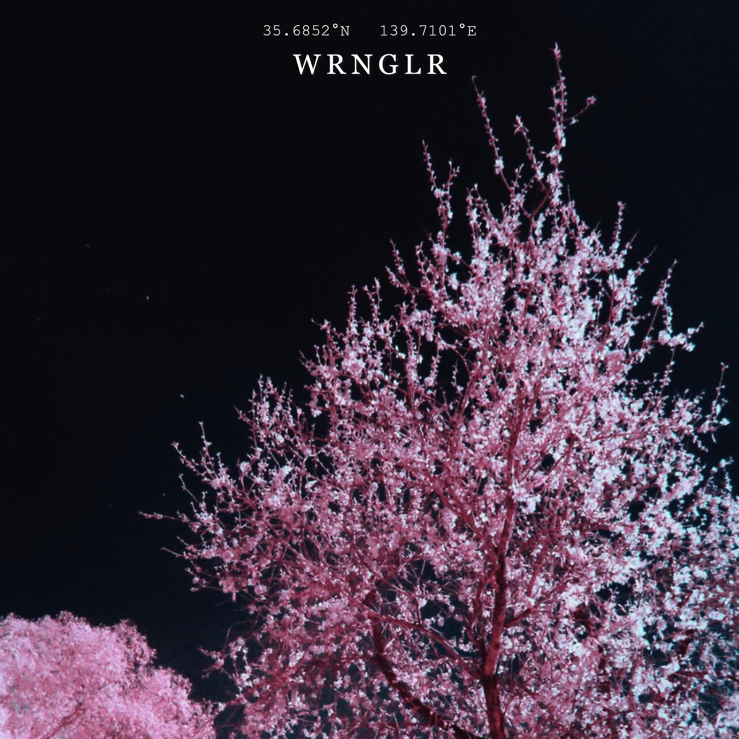 Релиз Cherry Blossom