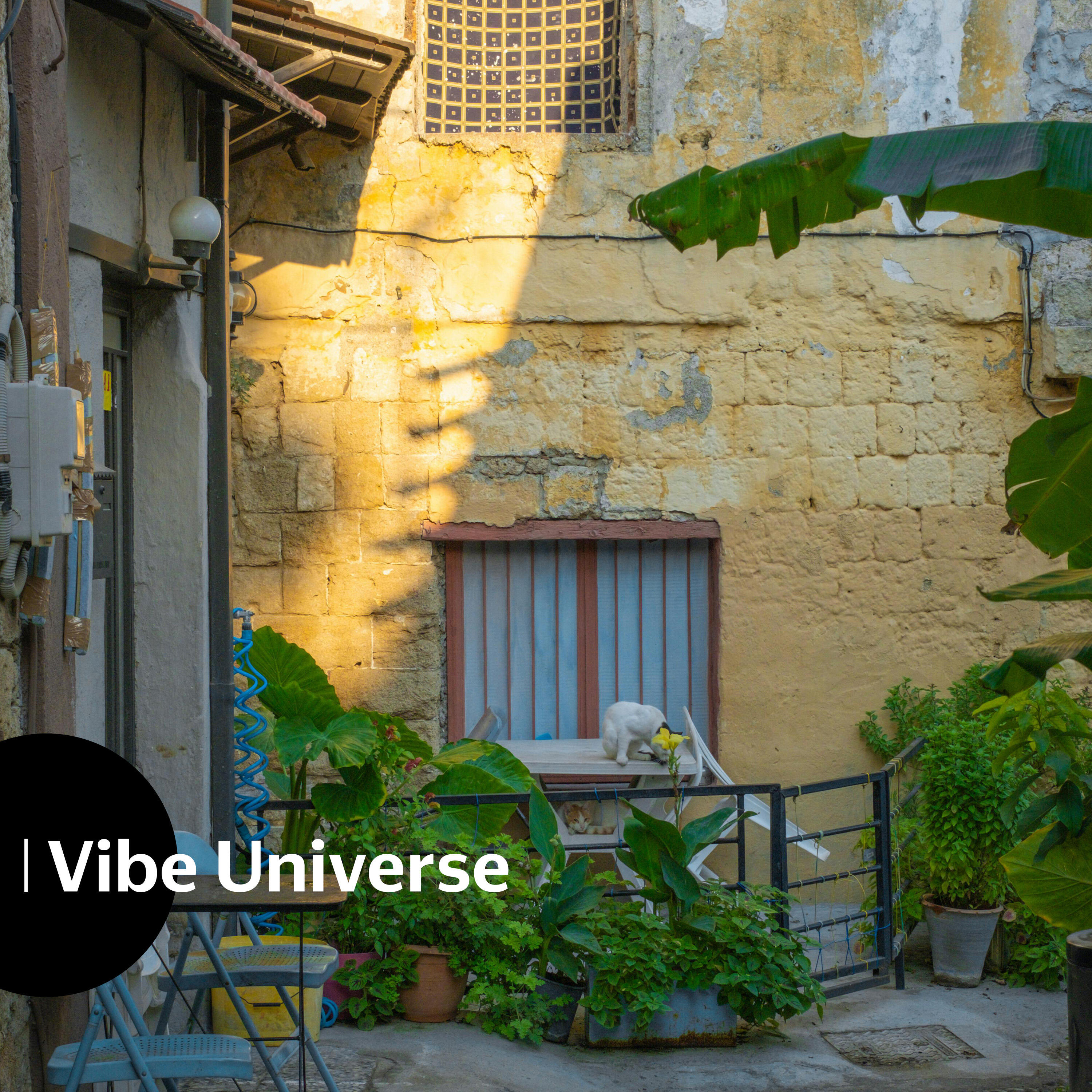 Релиз I Vibe Universe