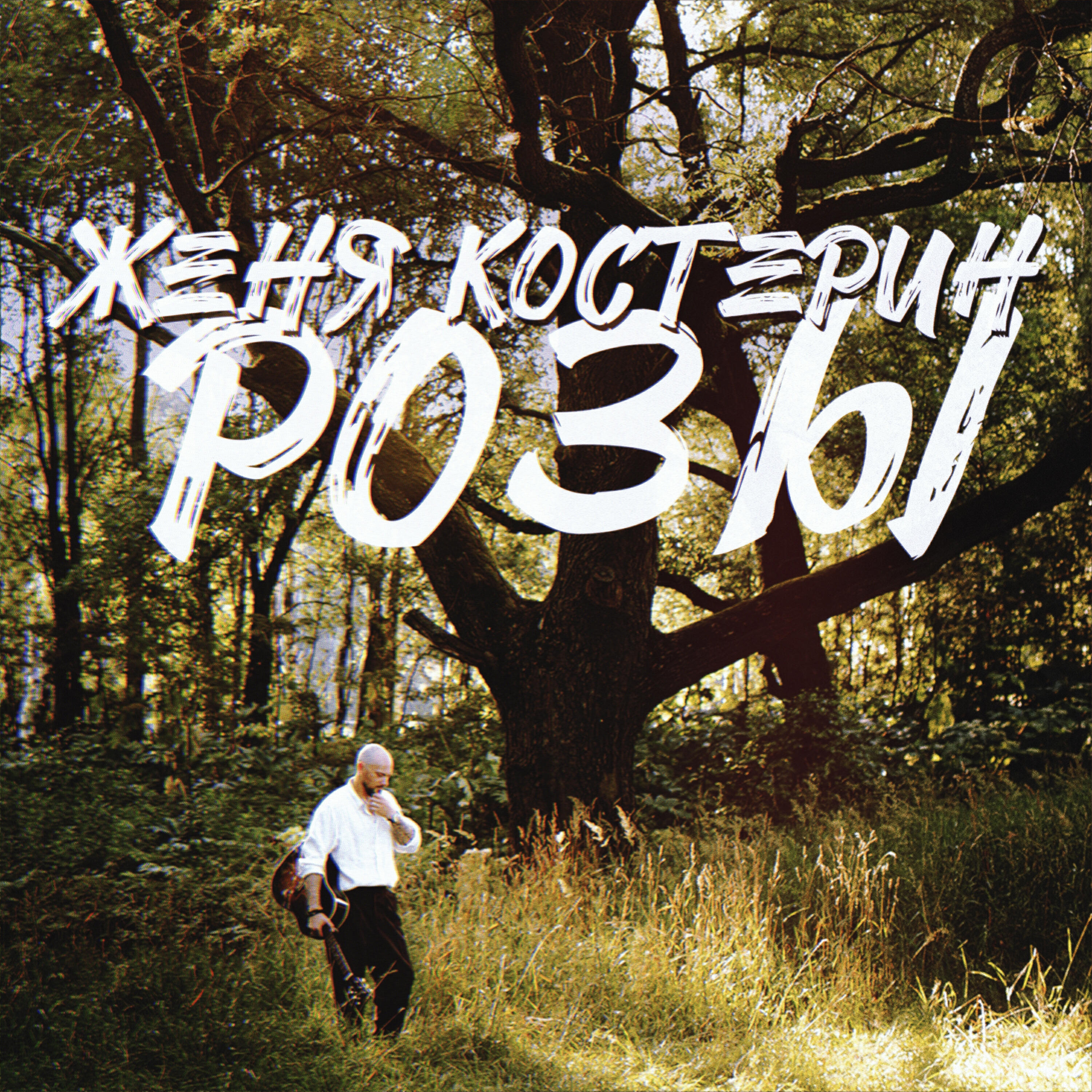 Релиз Розы