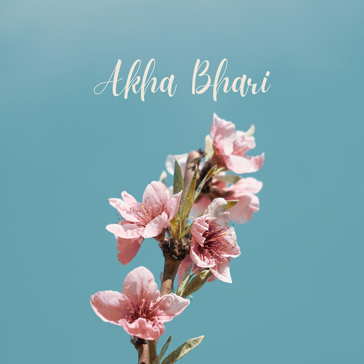 Релиз Akha Bhari