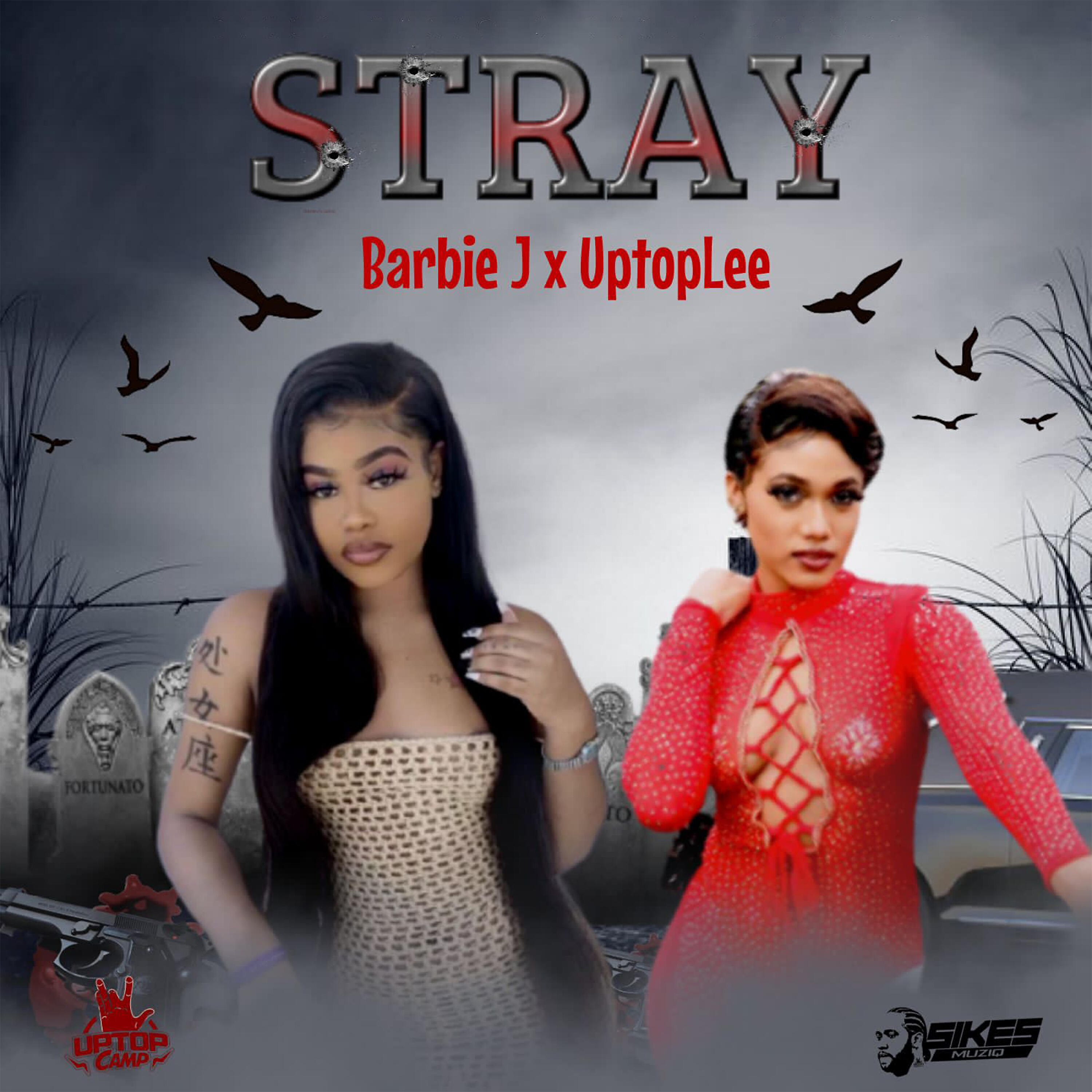 Релиз Stray