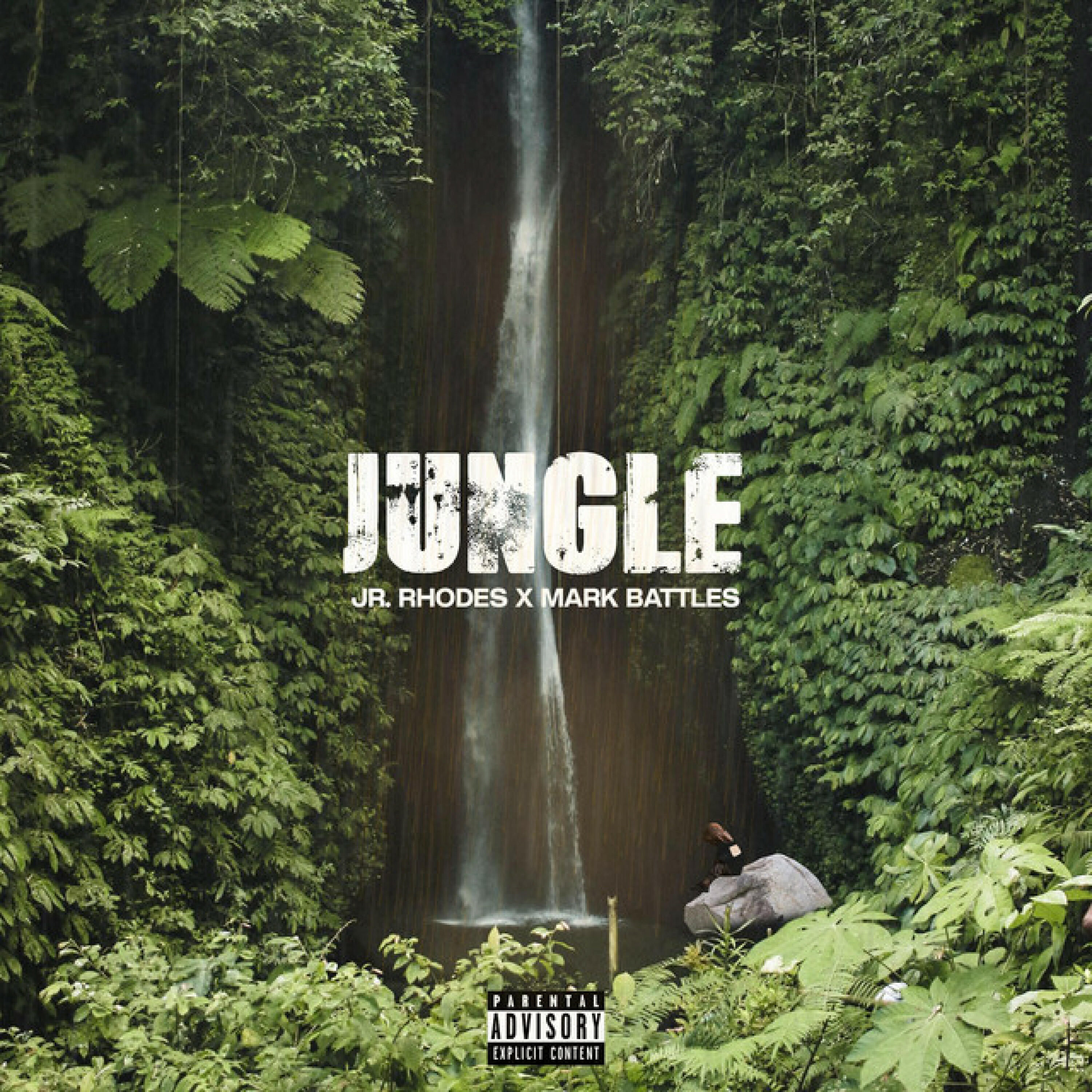 Релиз JUNGLE