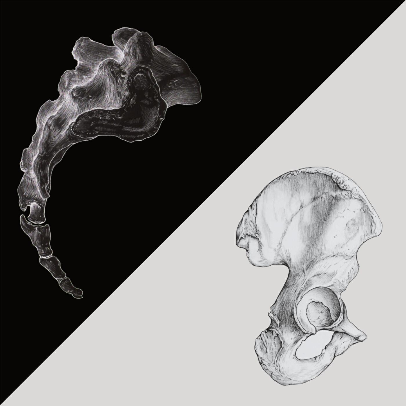 Релиз Innocence / Foam