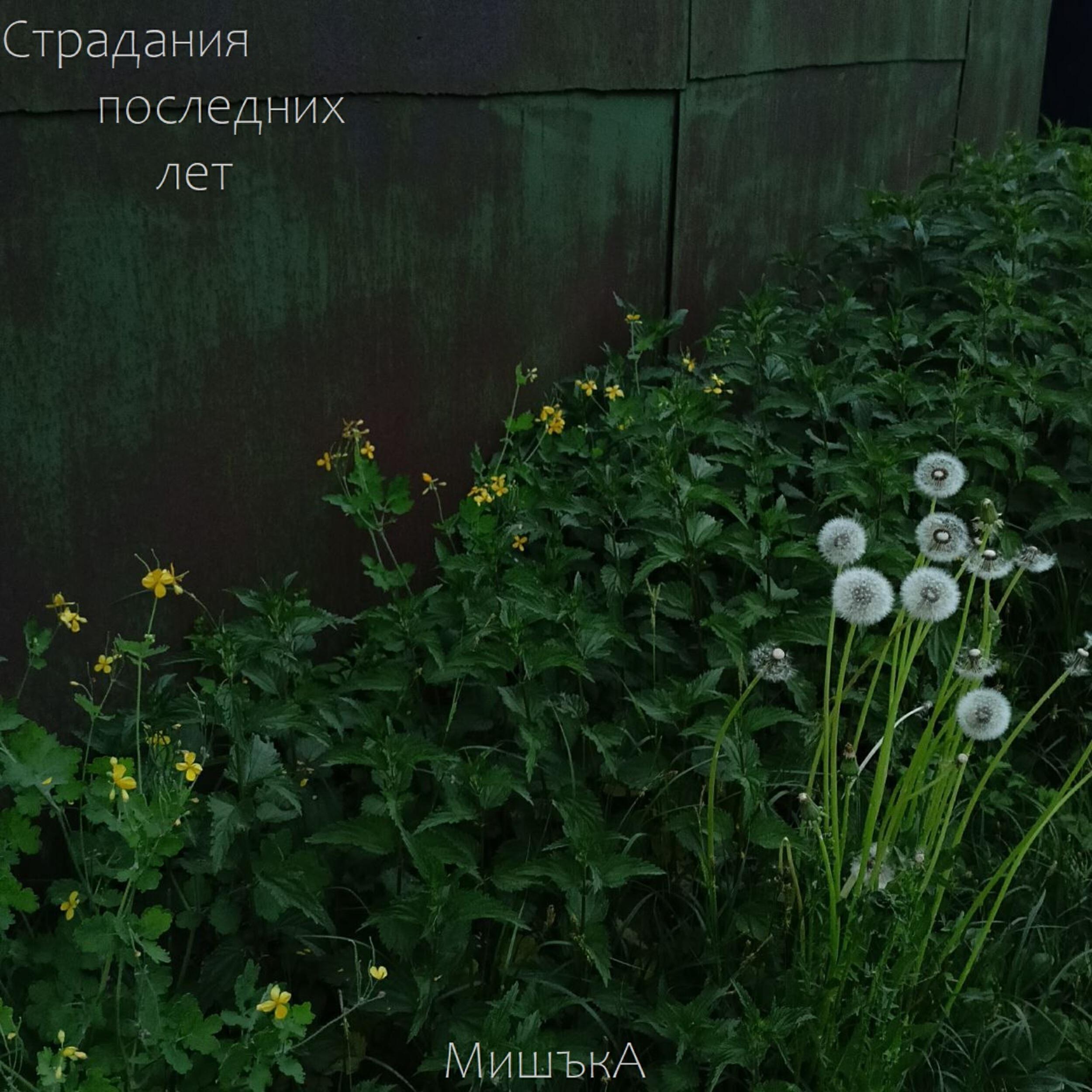 МишъкА
