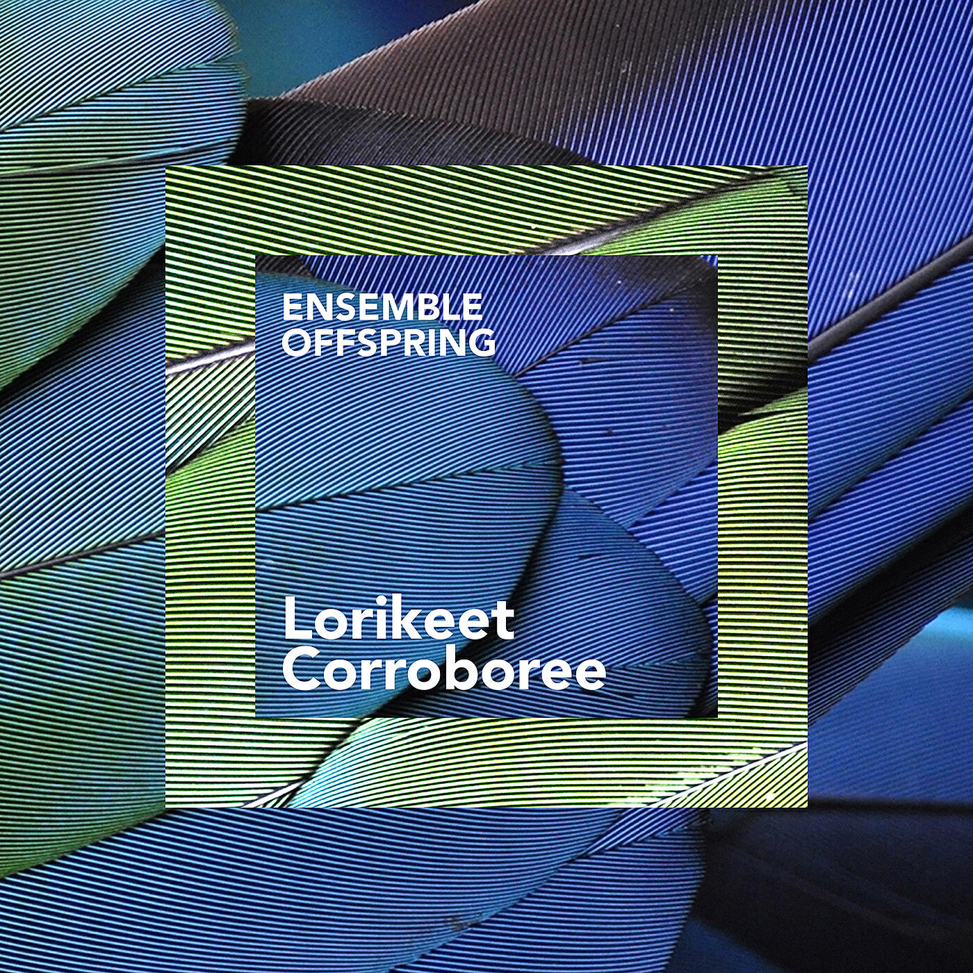 Релиз Lorikeet Corroboree