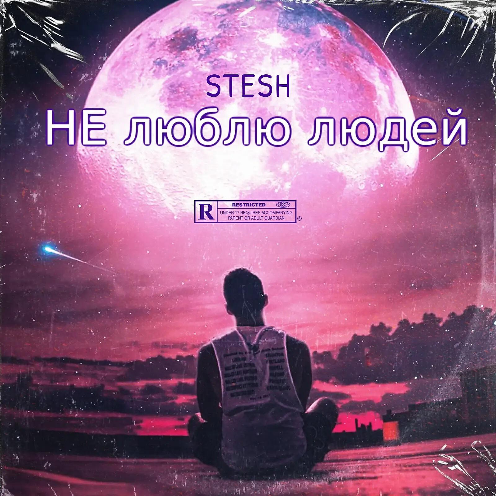 Stesh