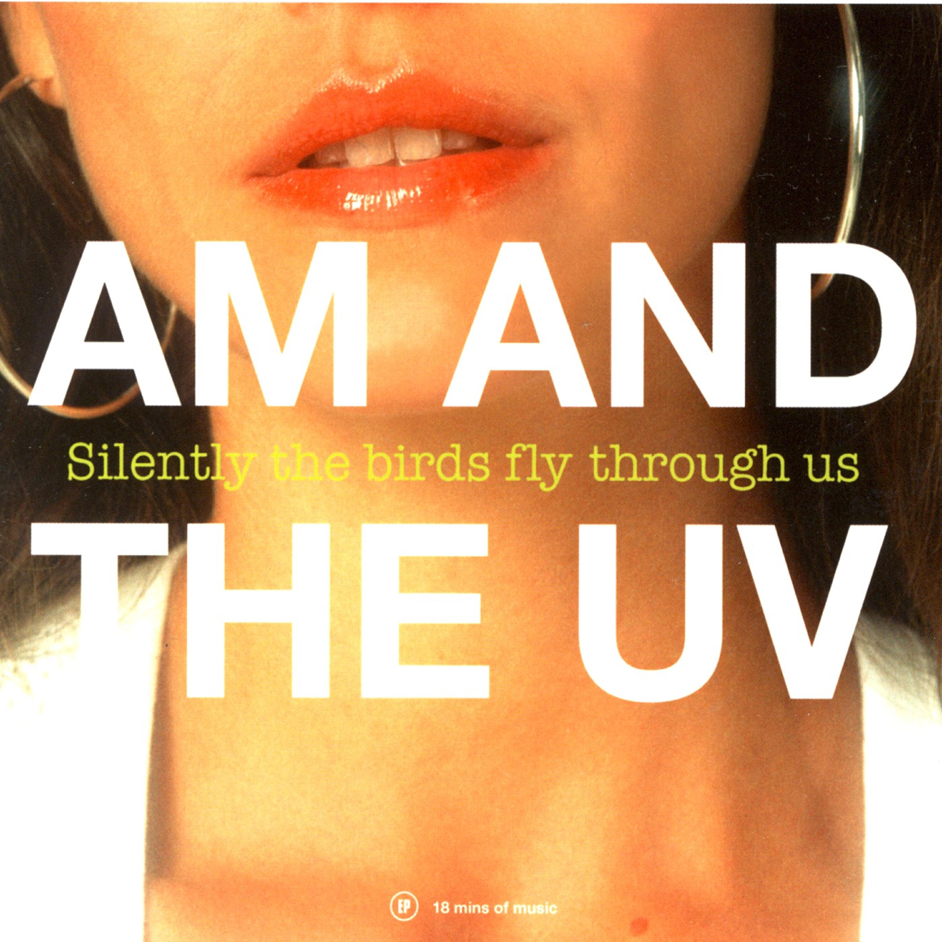 Релиз Silently the Birds Fly Through Us
