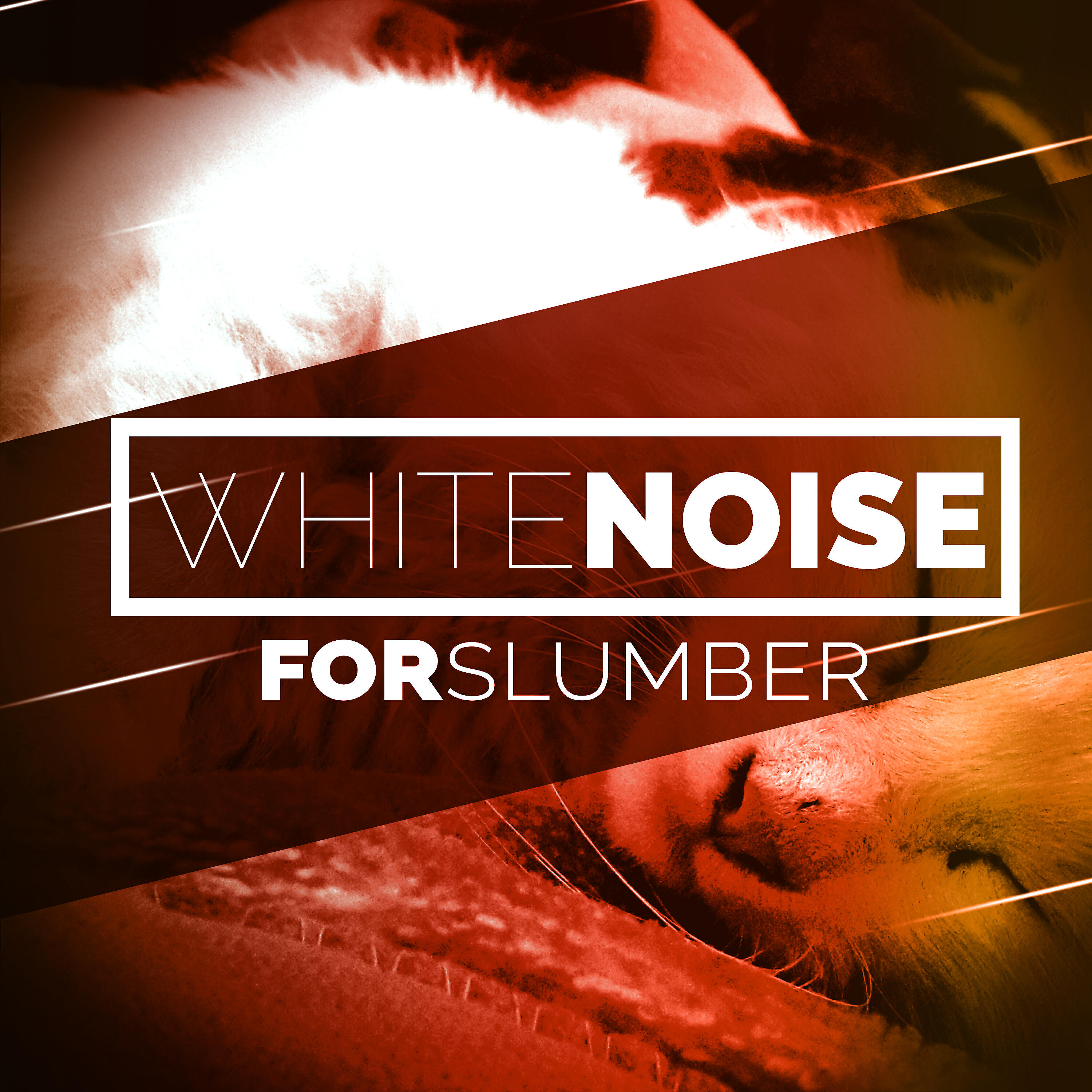 Релиз White Noise for Slumber