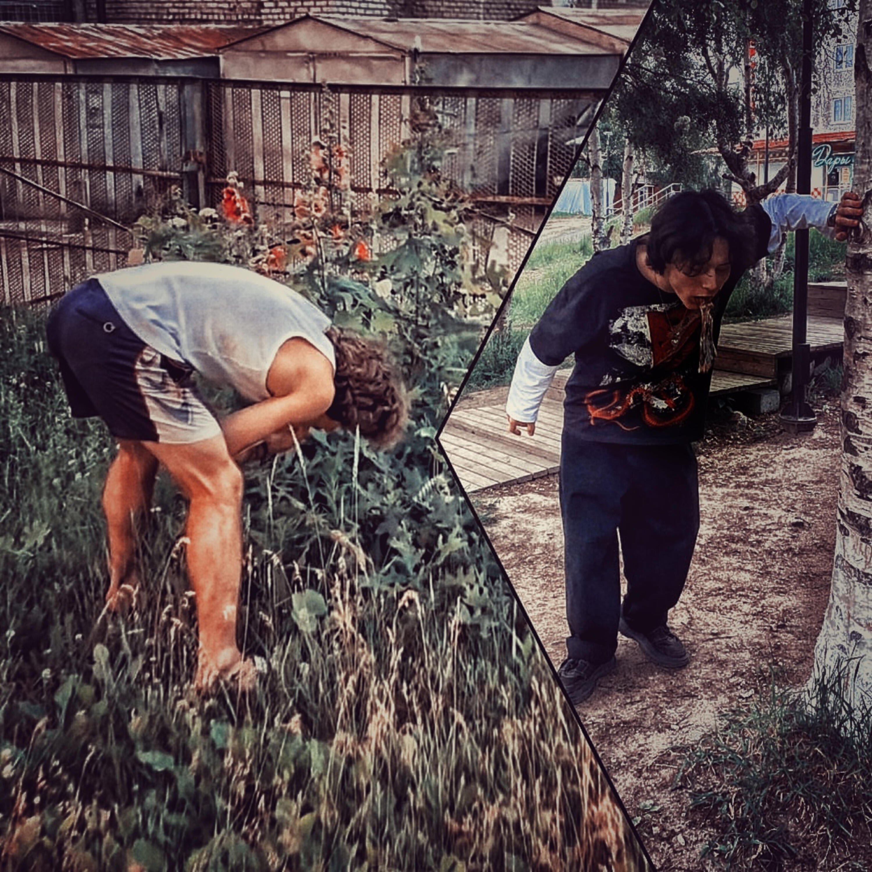 записки старого козла