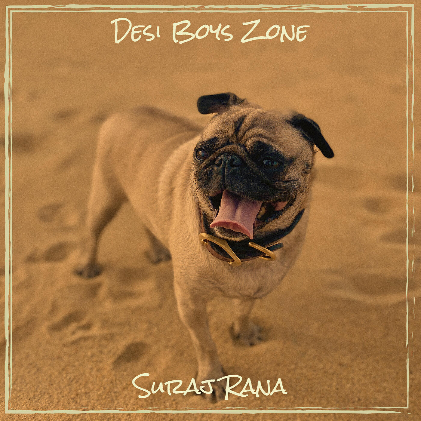Релиз Desi Boys Zone