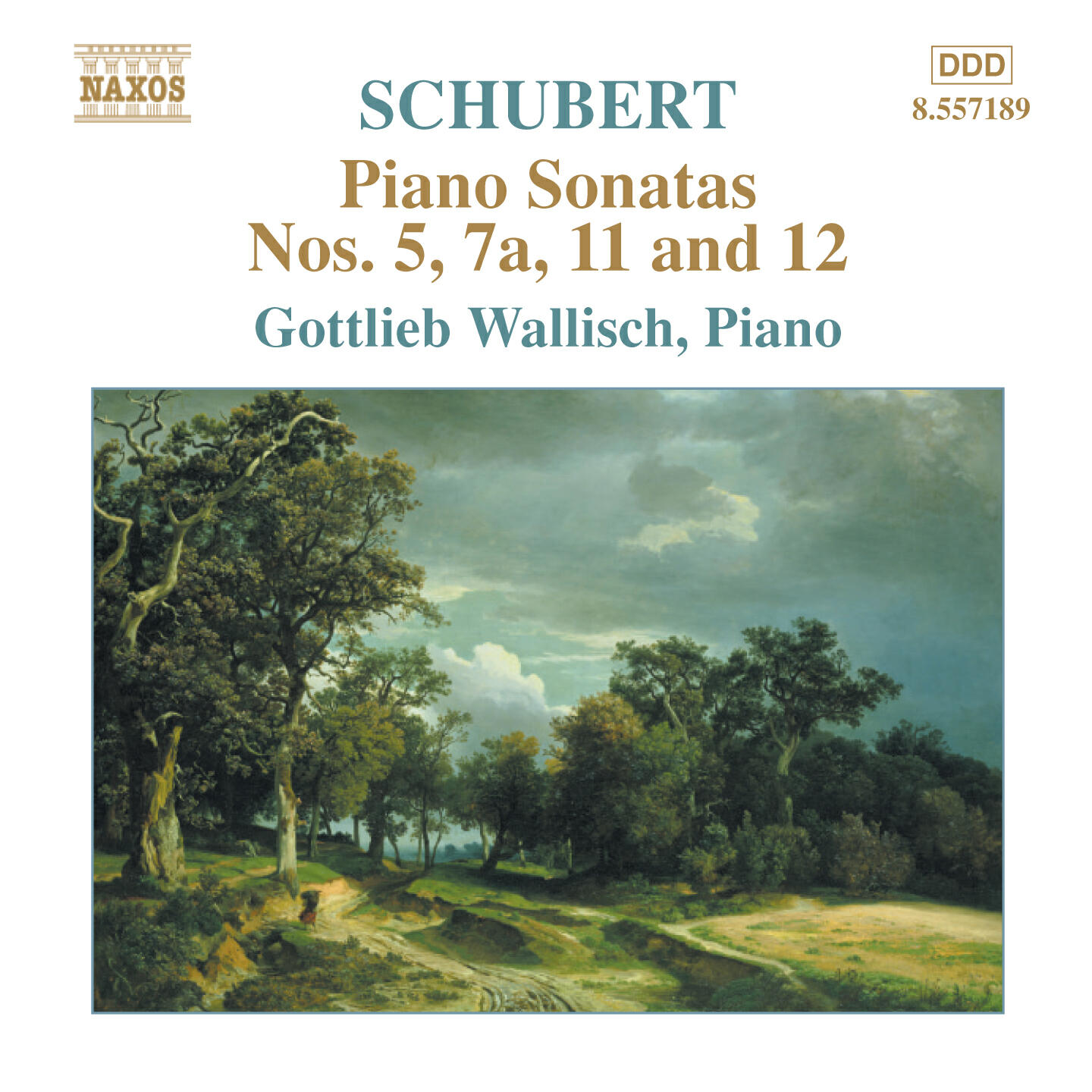 Релиз Schubert: Piano Sonatas Nos. 5, 7A, 11 and 12 (Fragments)