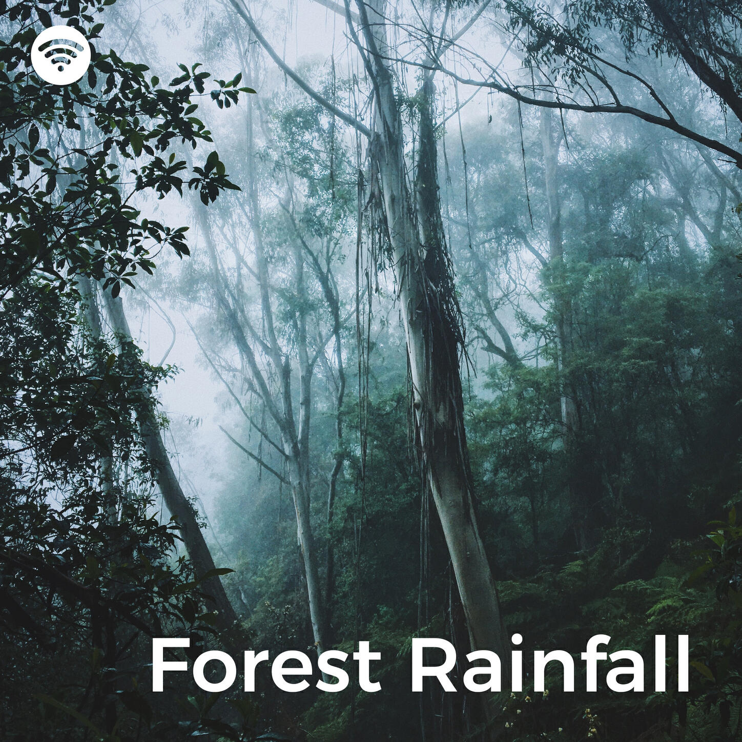 Релиз Forest Rainfall: Nature's Embrace