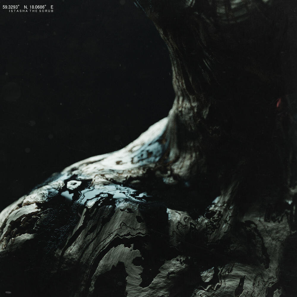 Релиз Wasp Tongue