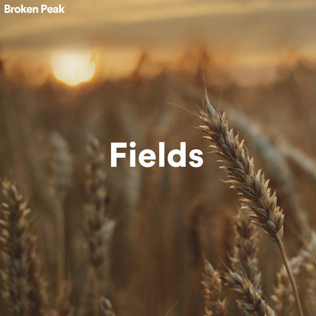 Релиз Fields