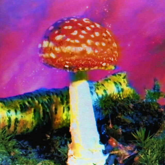 Релиз Look What's Going on with Santa Claus