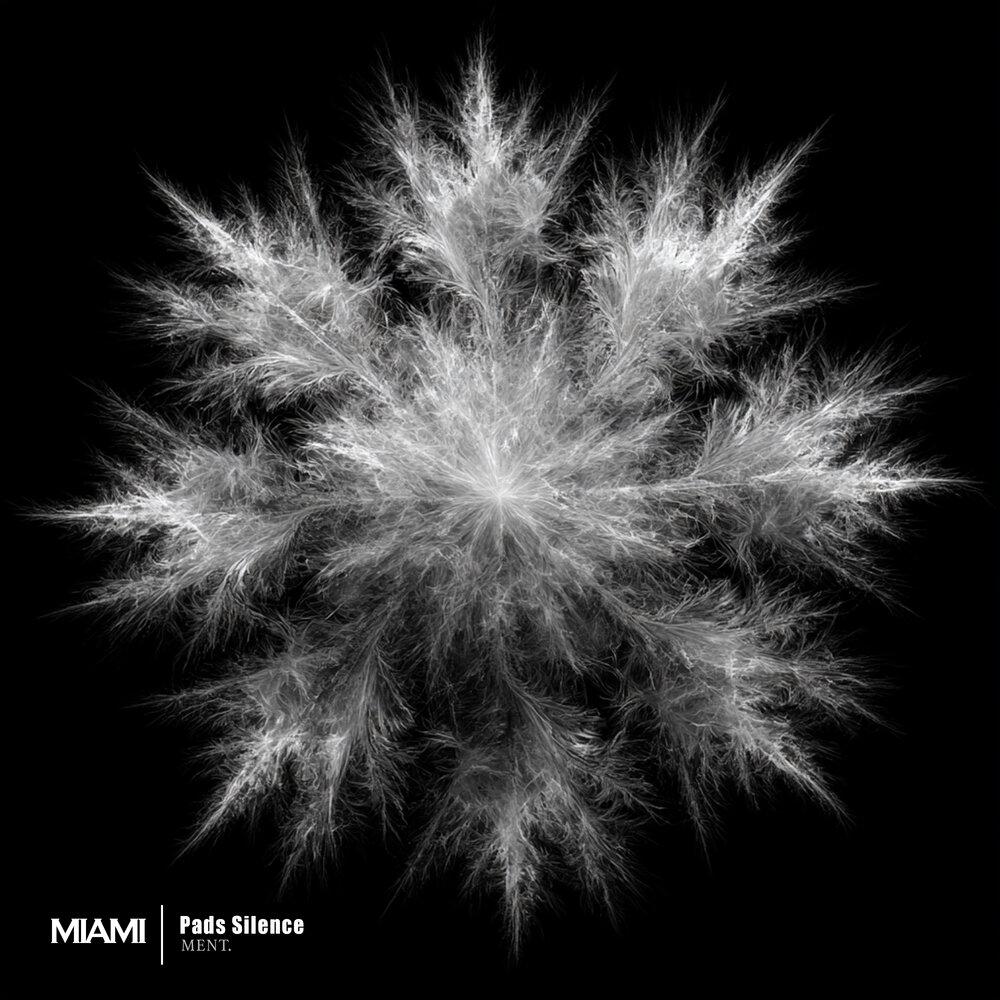 Релиз Pads Silence