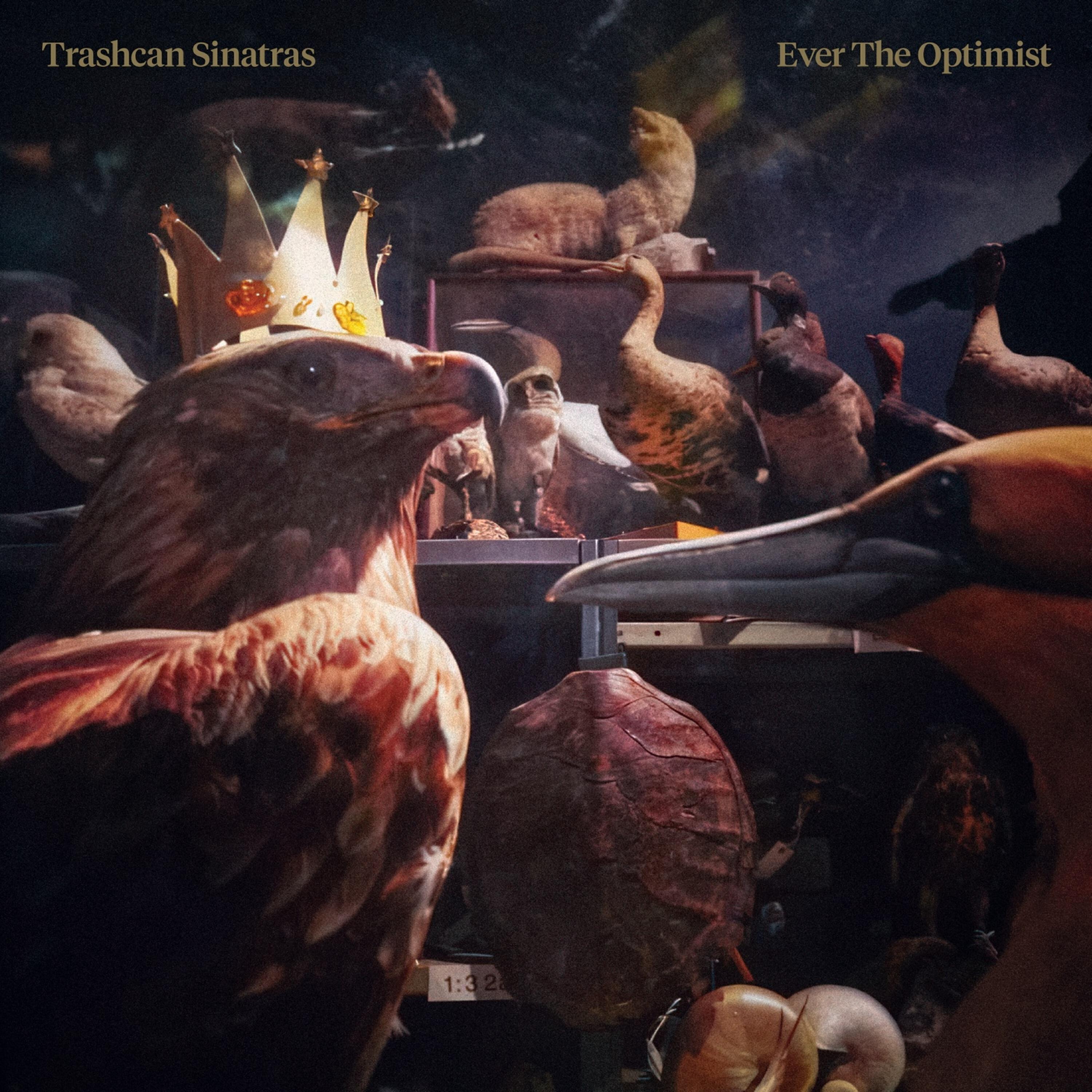 Релиз Ever The Optimist