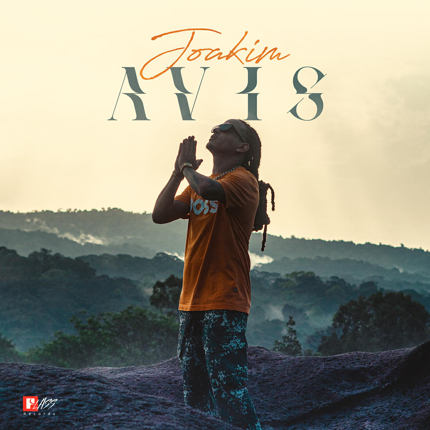 Постер альбома Avis