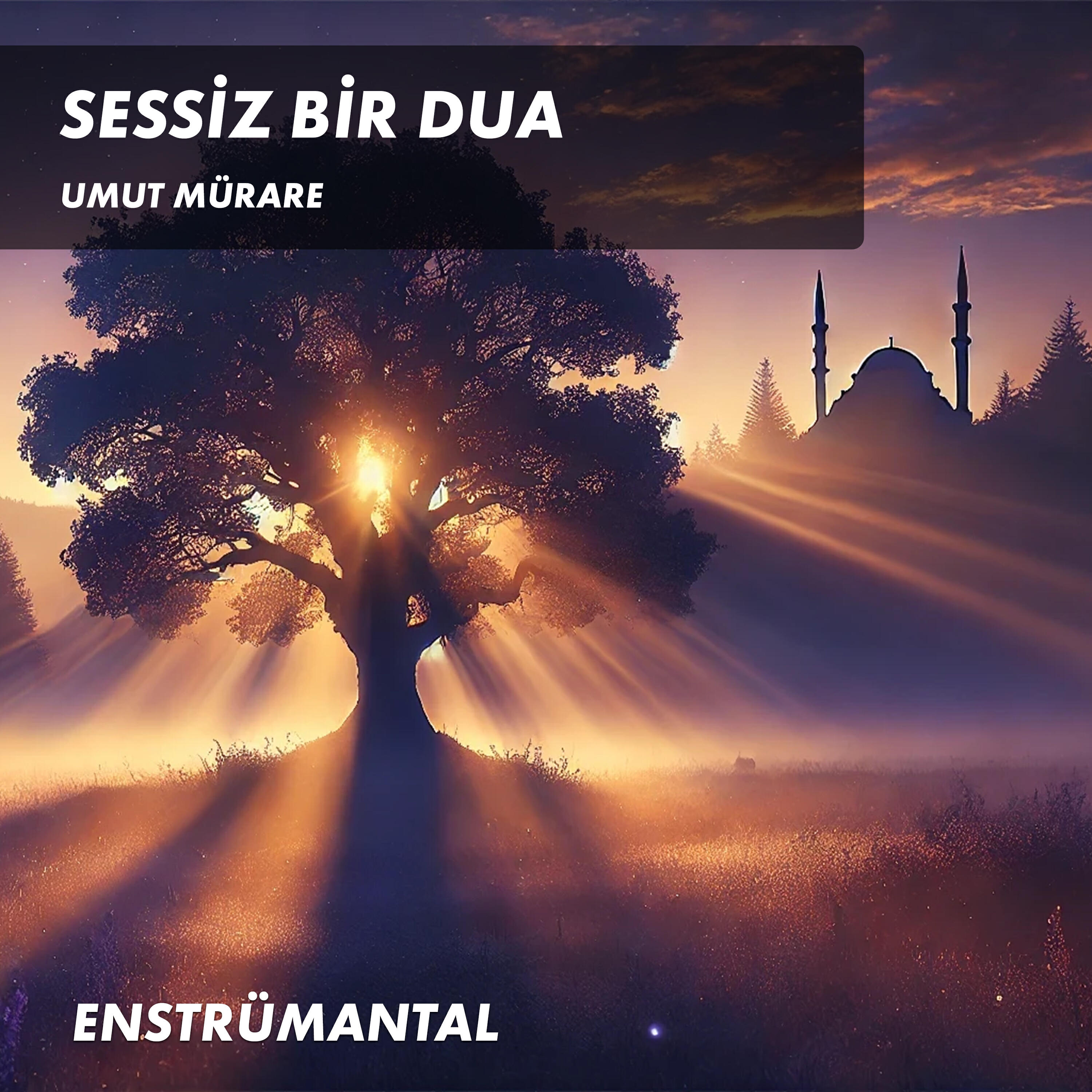 Релиз Sessiz Bir Dua