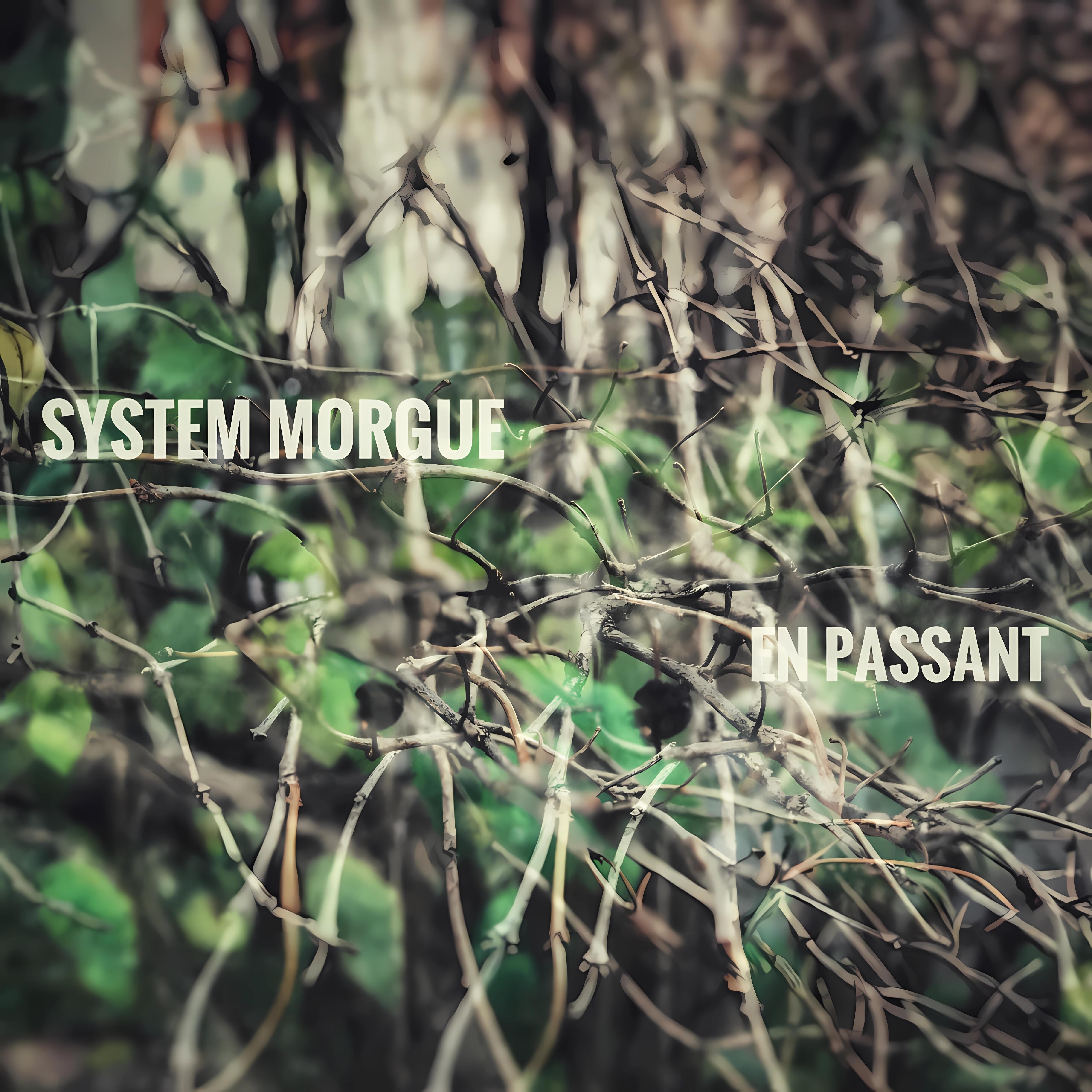 System Morgue