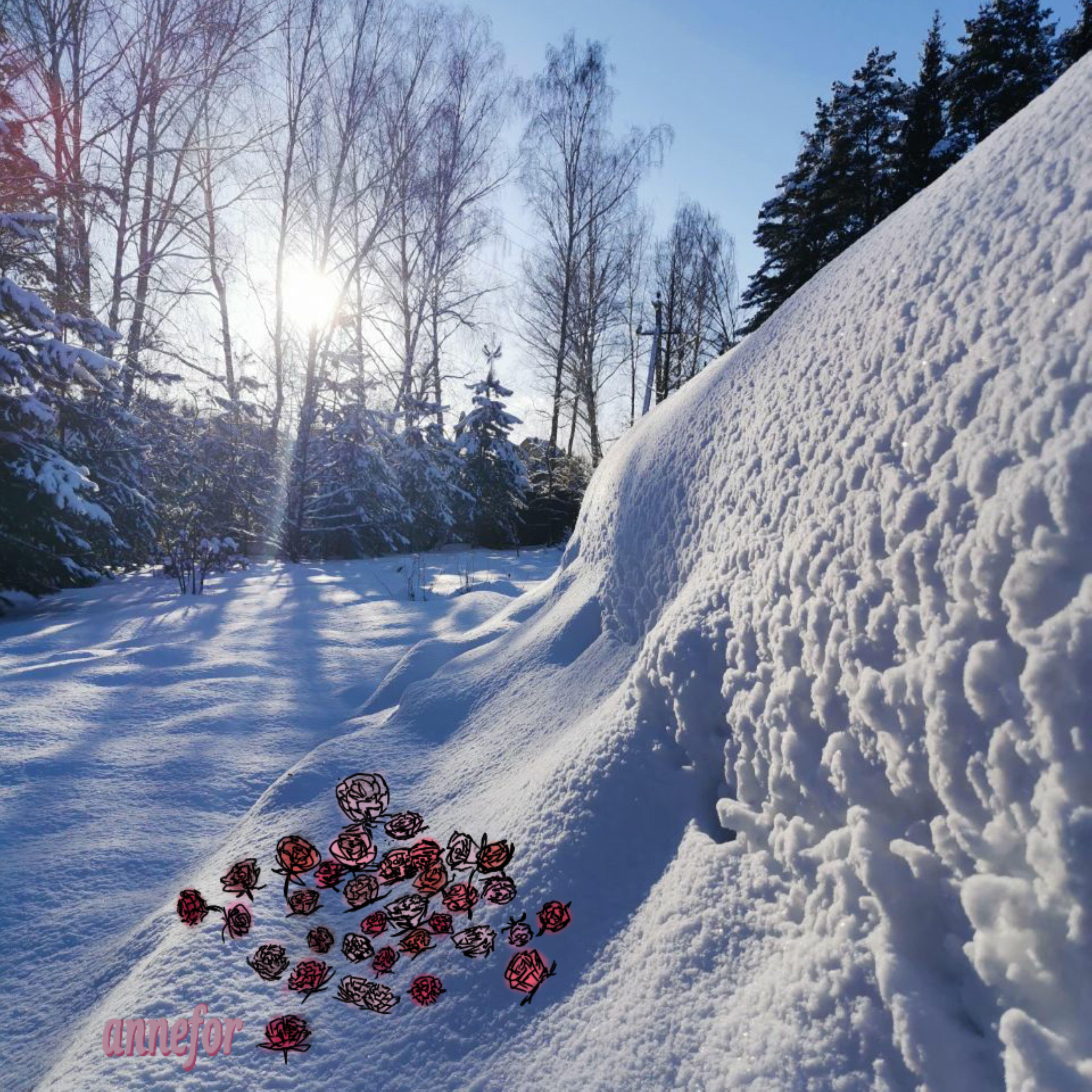 Релиз Альбом