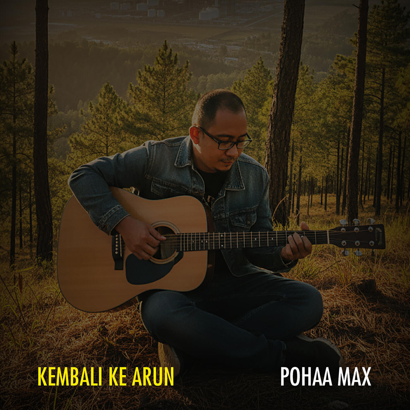 Pohaa Max