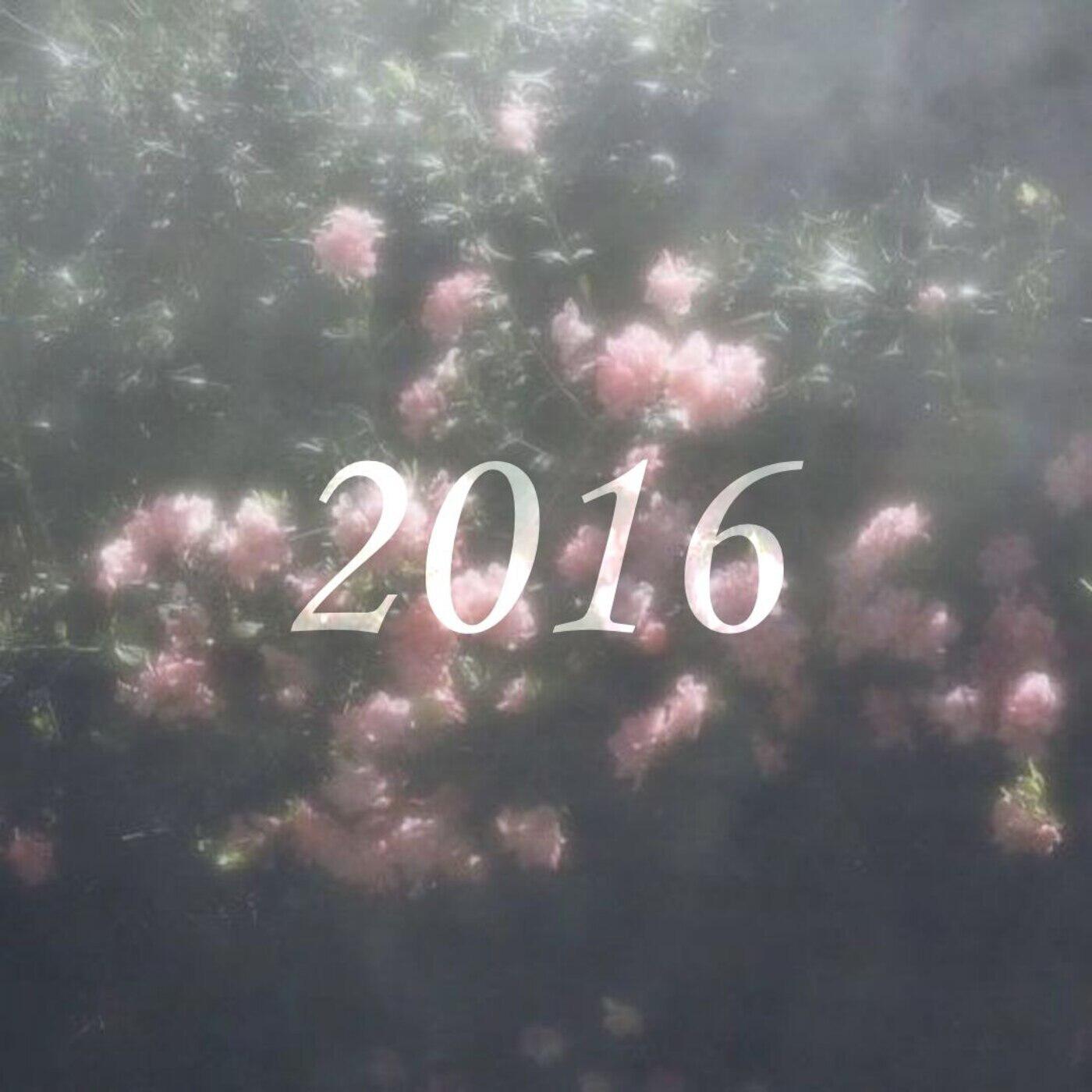 Постер альбома 2016 (feat. Lil Lxve)