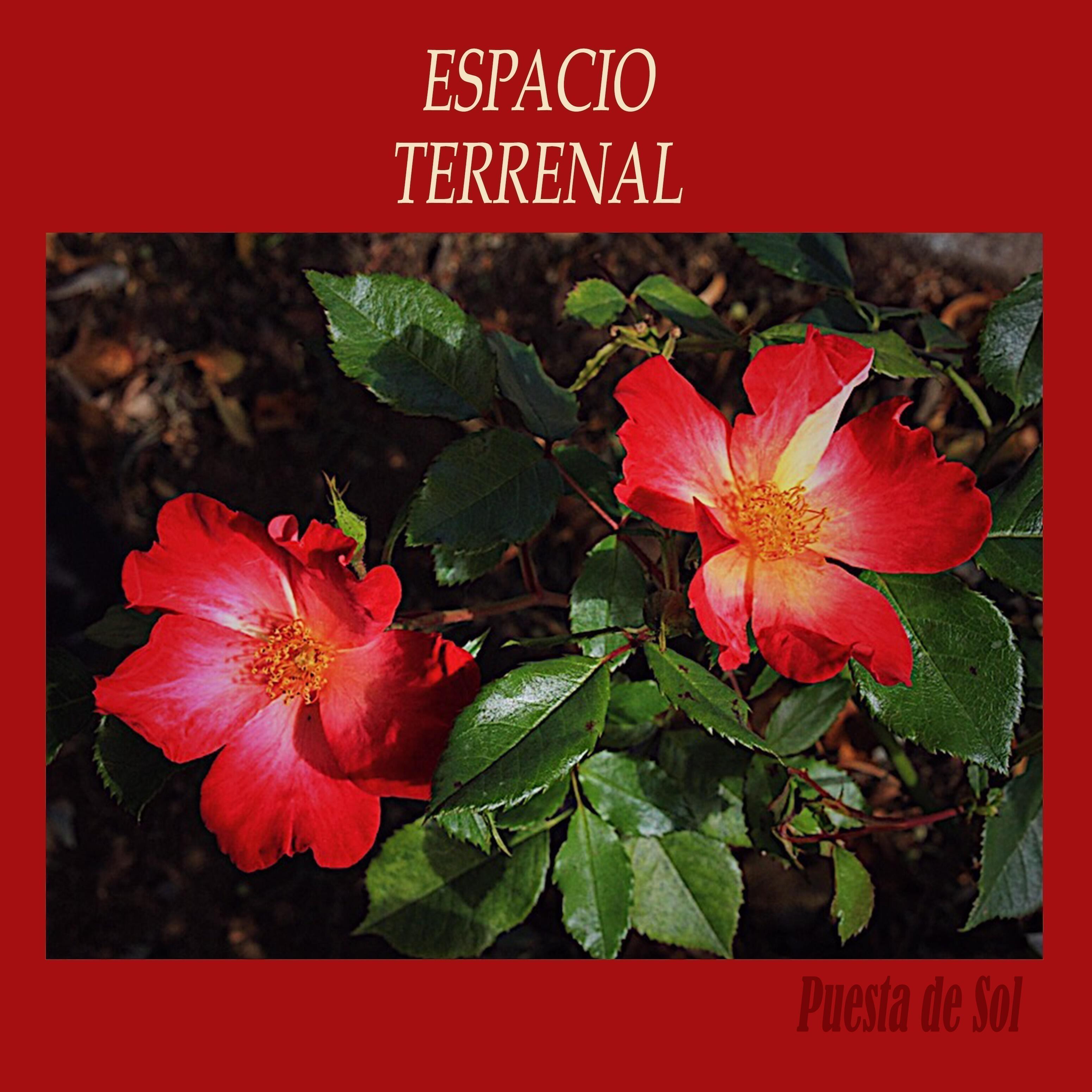 Релиз Espacio Terrenal