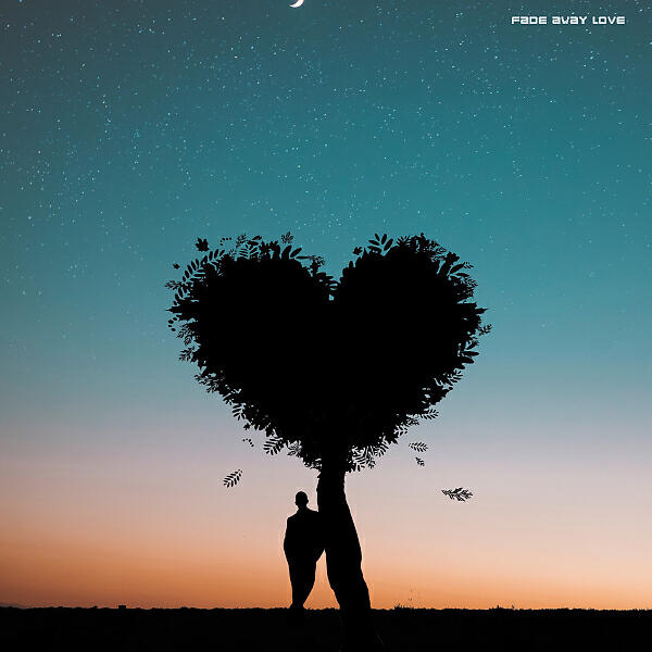 Постер альбома Fade Away Love