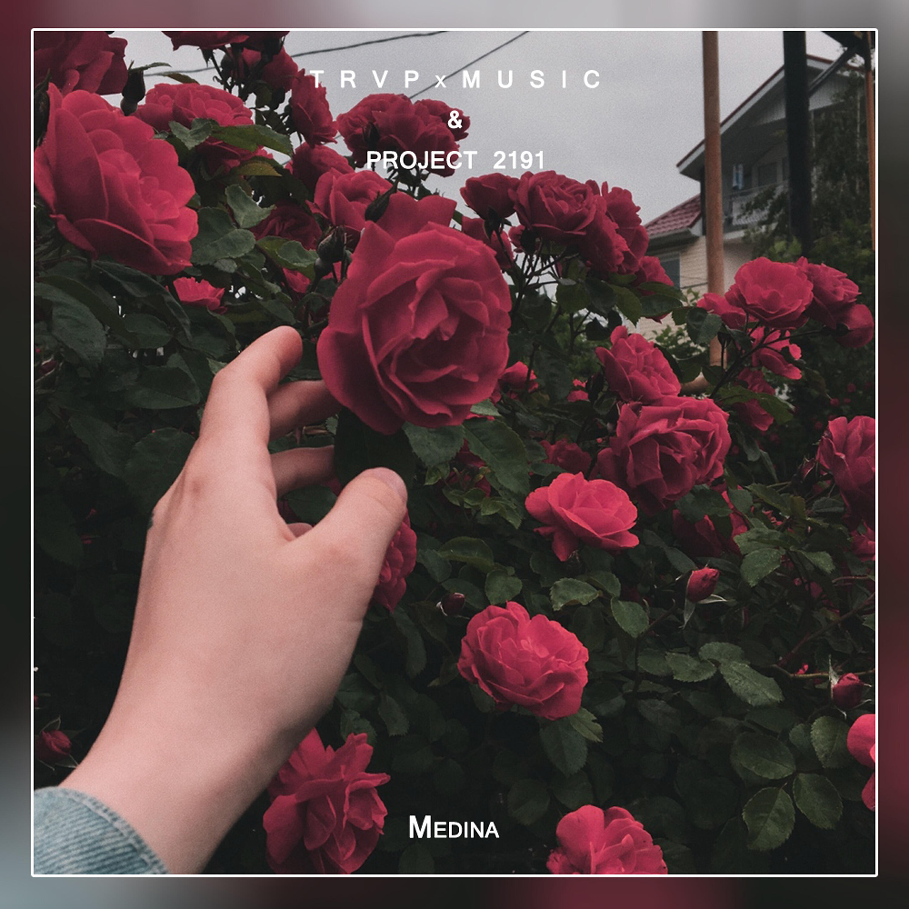 Релиз Medina