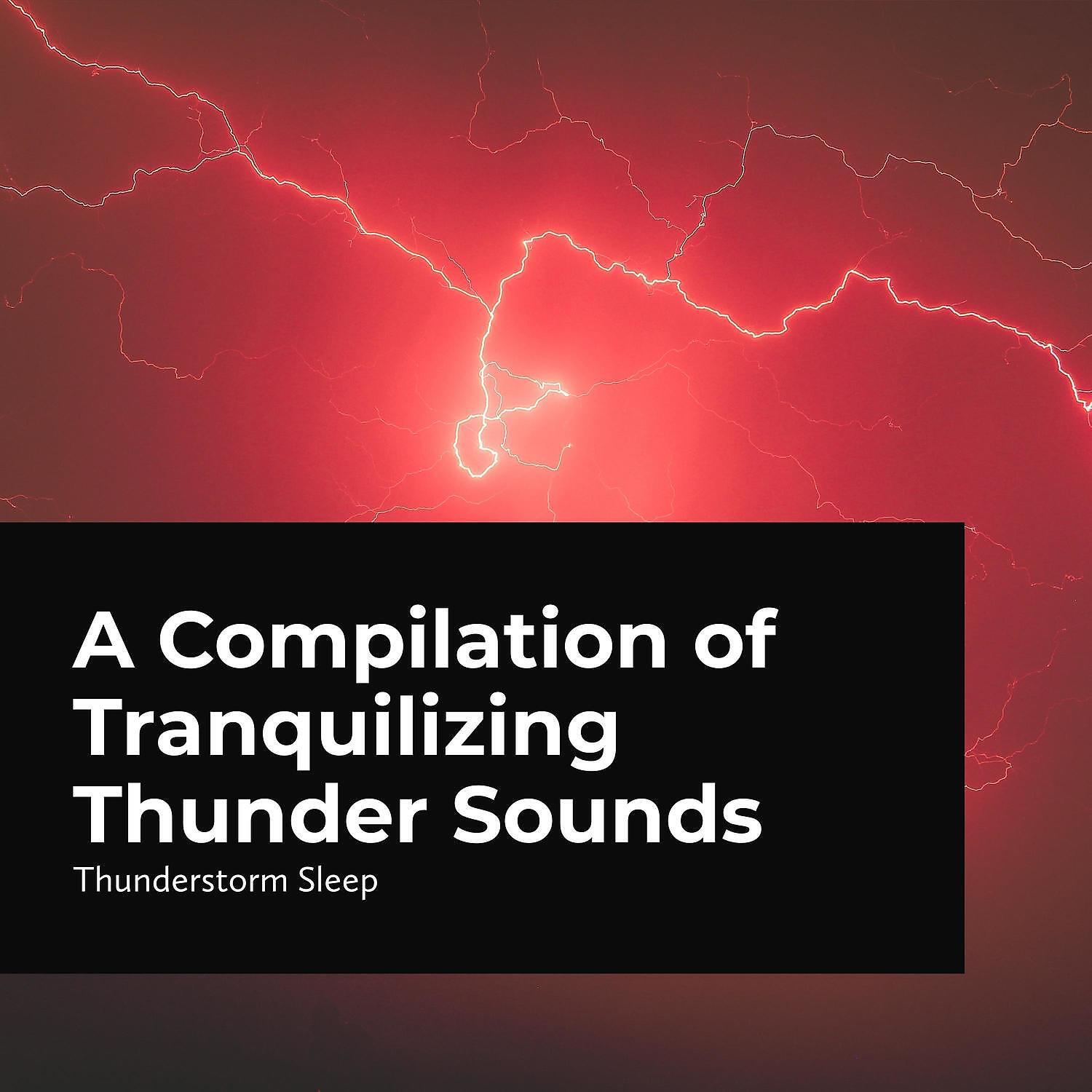 Релиз A Compilation of Tranquilizing Thunder Sounds