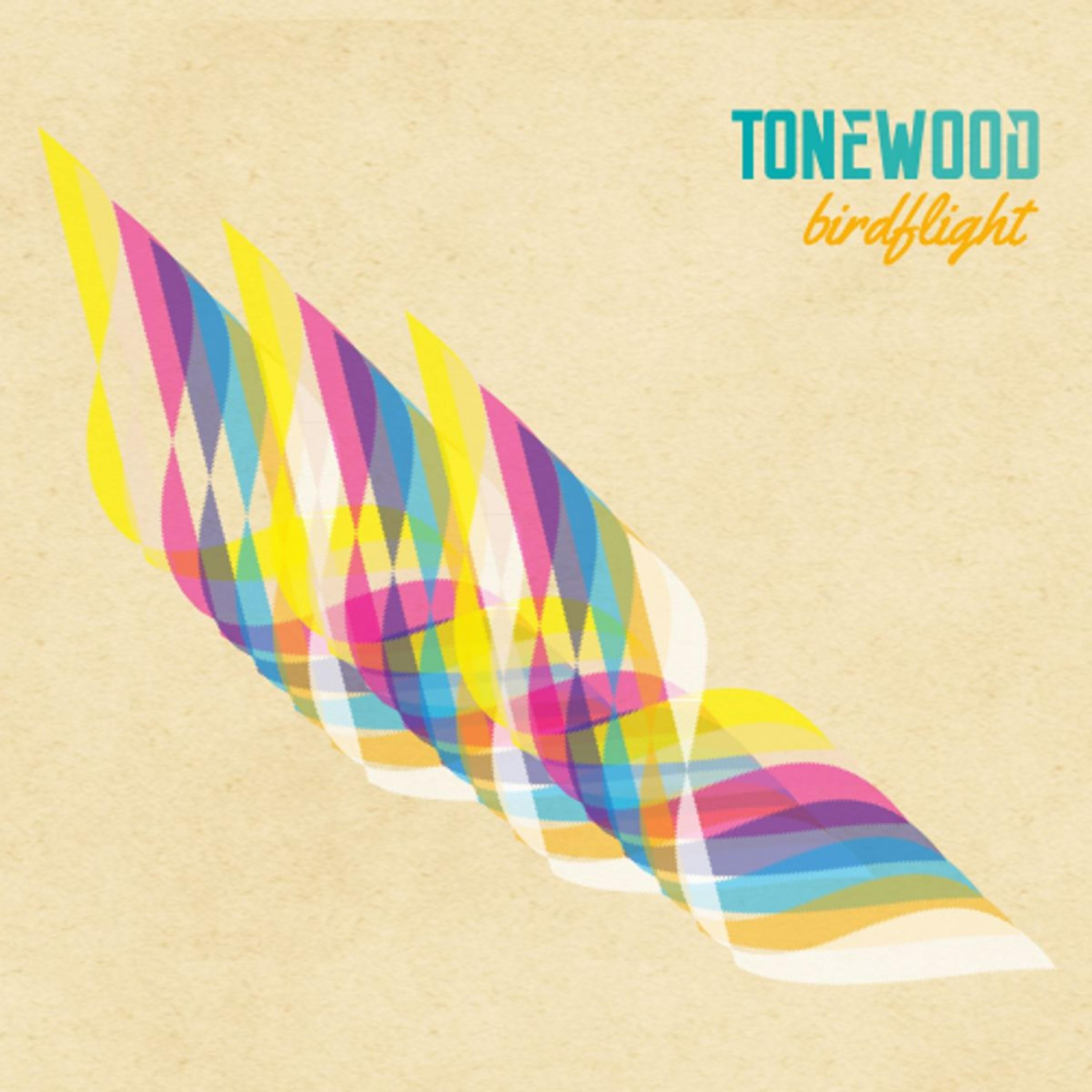 Релиз Birdflight