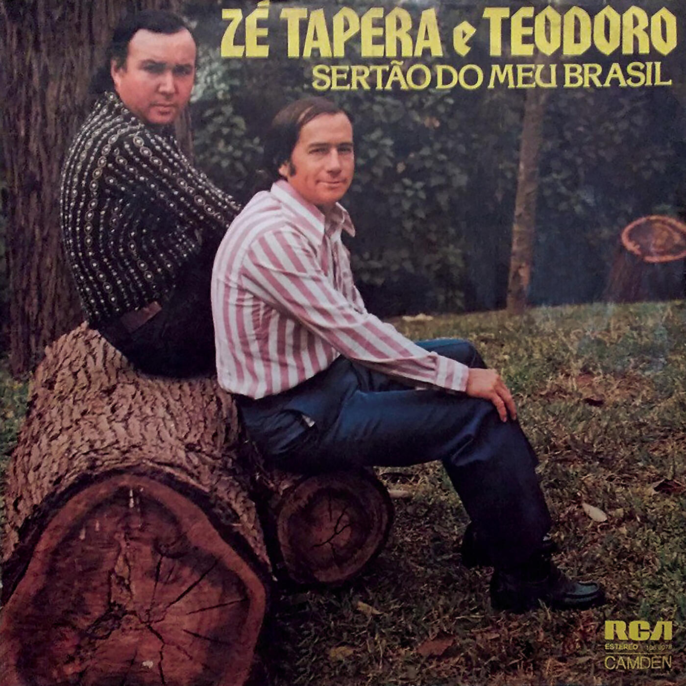 Релиз Sertão do Meu Brasil