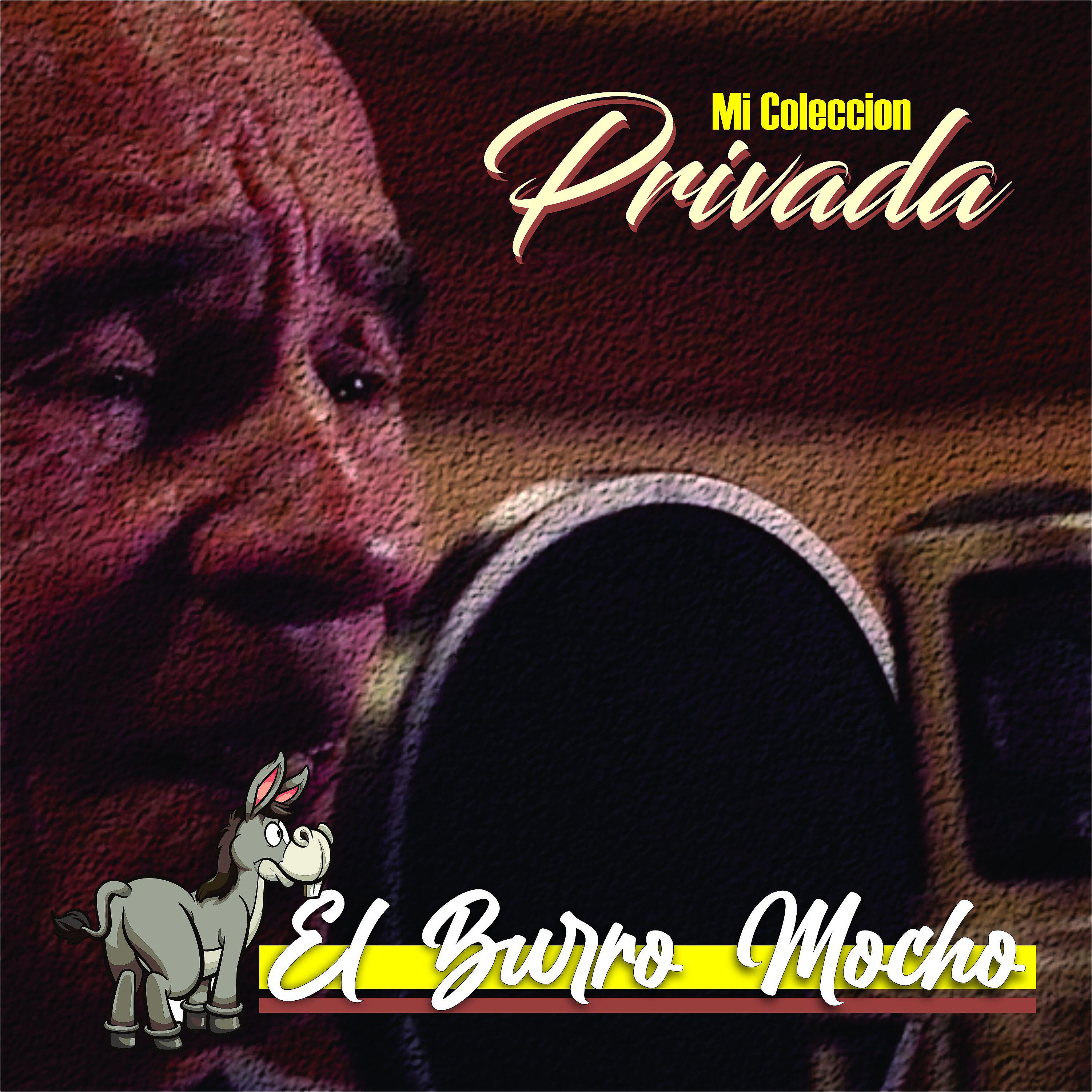 El Burro Mocho