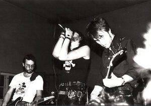 Rattus
