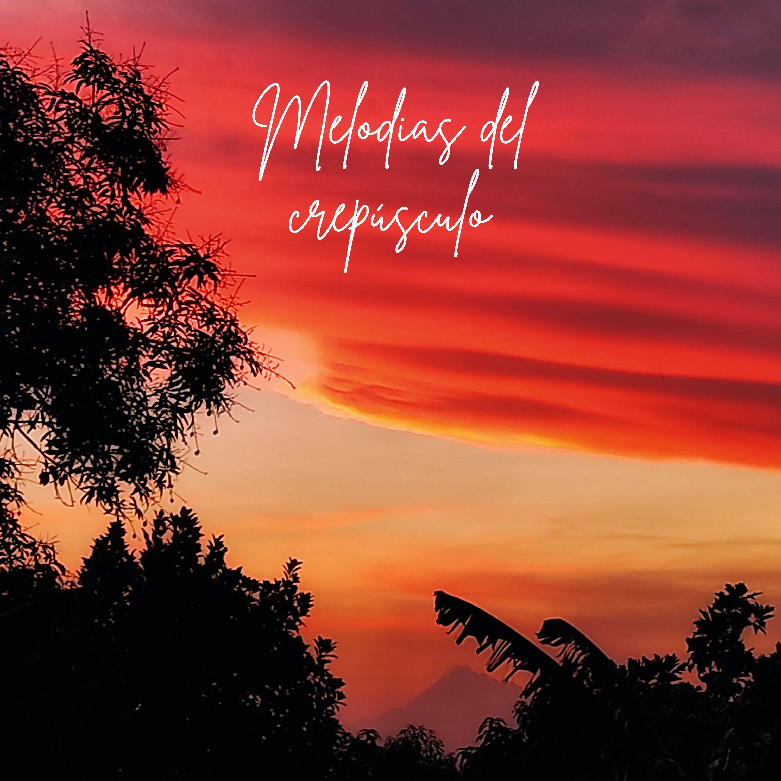 Релиз Melodias del crepúsculo