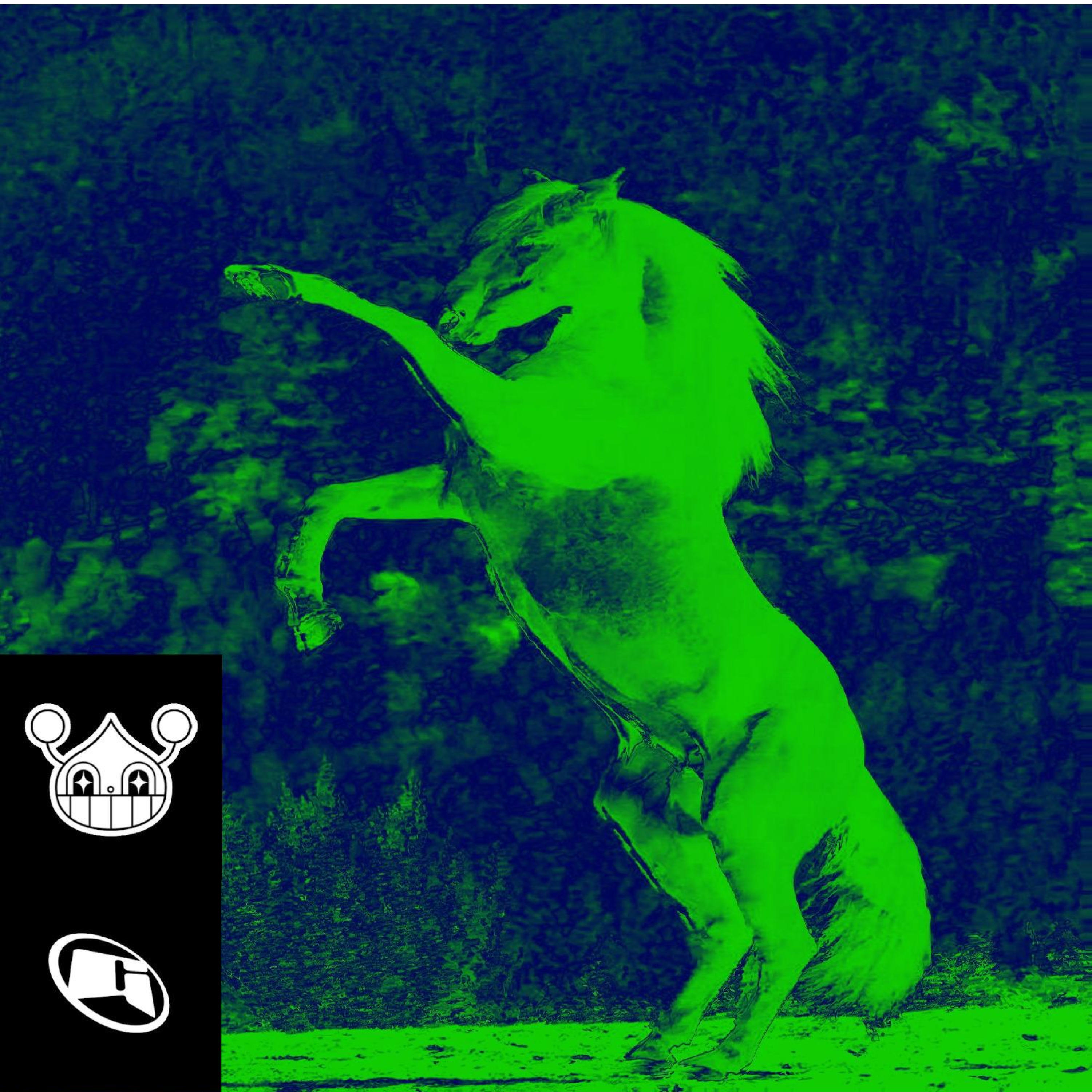 Релиз DONKEY STOMP