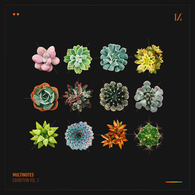 Релиз Exhibition, Vol. 2: We Were Young