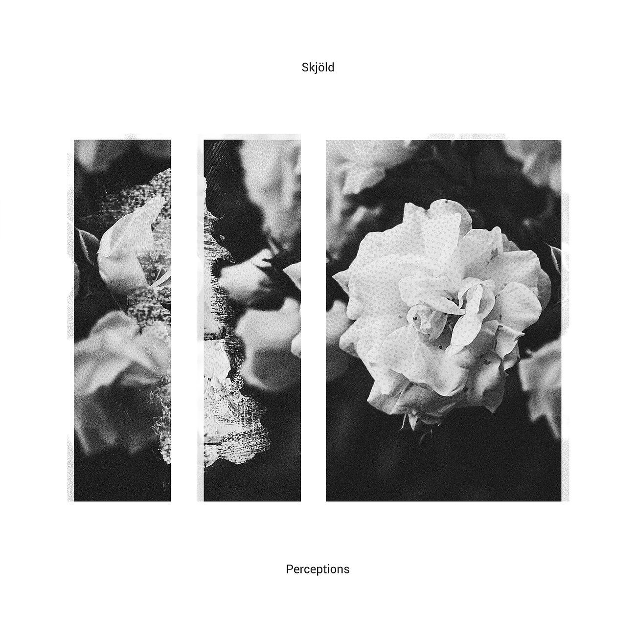 Релиз Perceptions