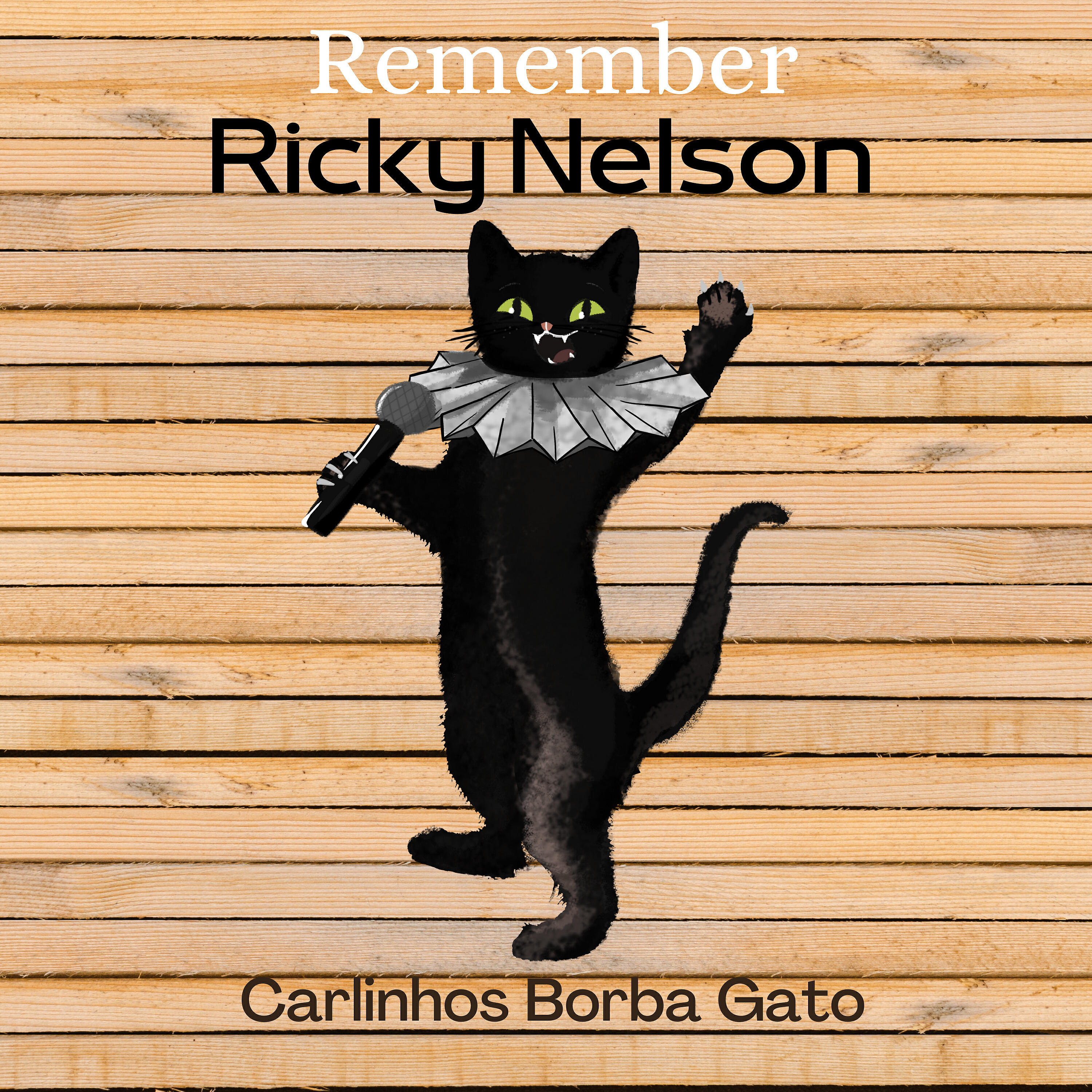 Релиз Remember Ricky Nelson