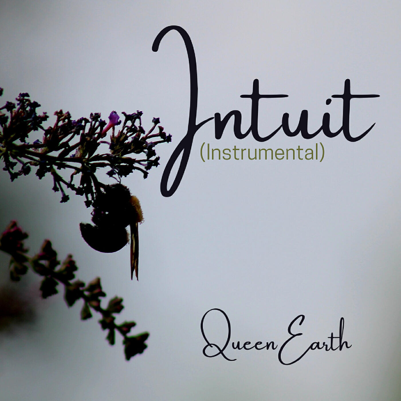 Релиз Intuit (Instrumental)