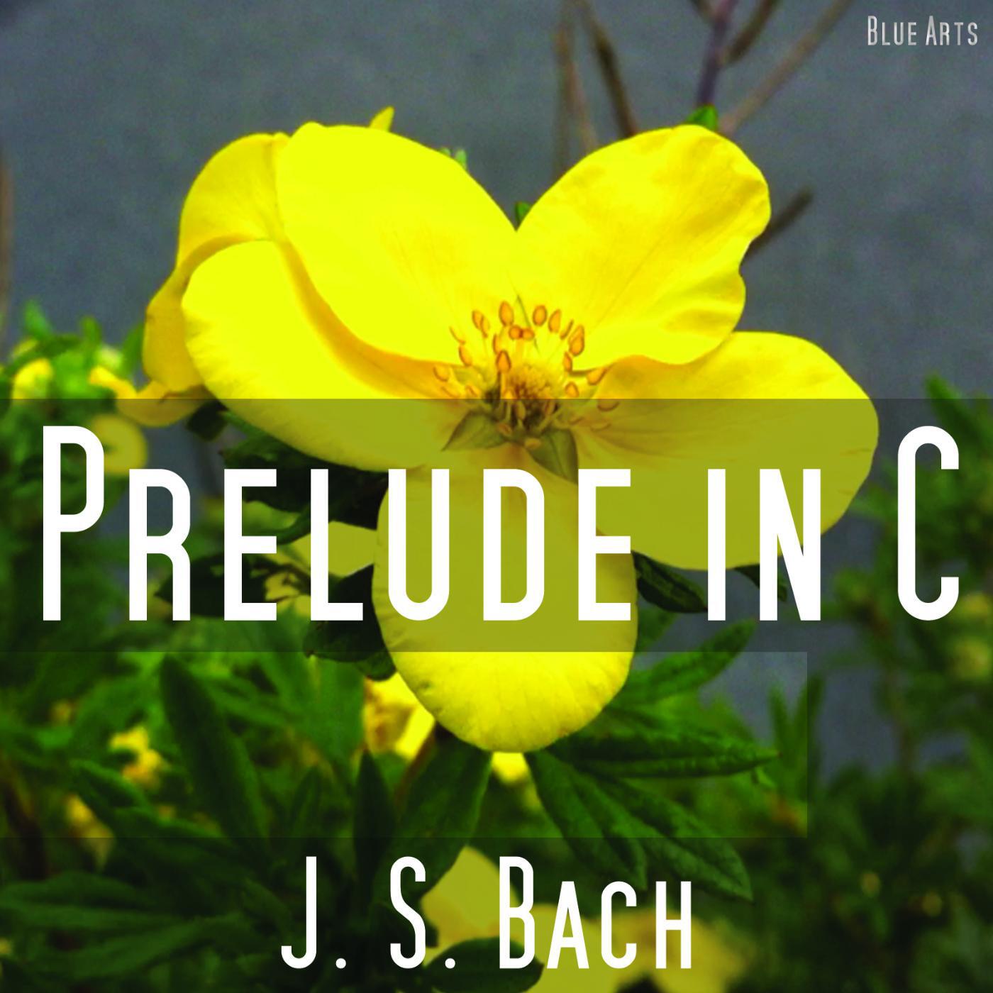 Релиз Prelude C Major ( Bach )
