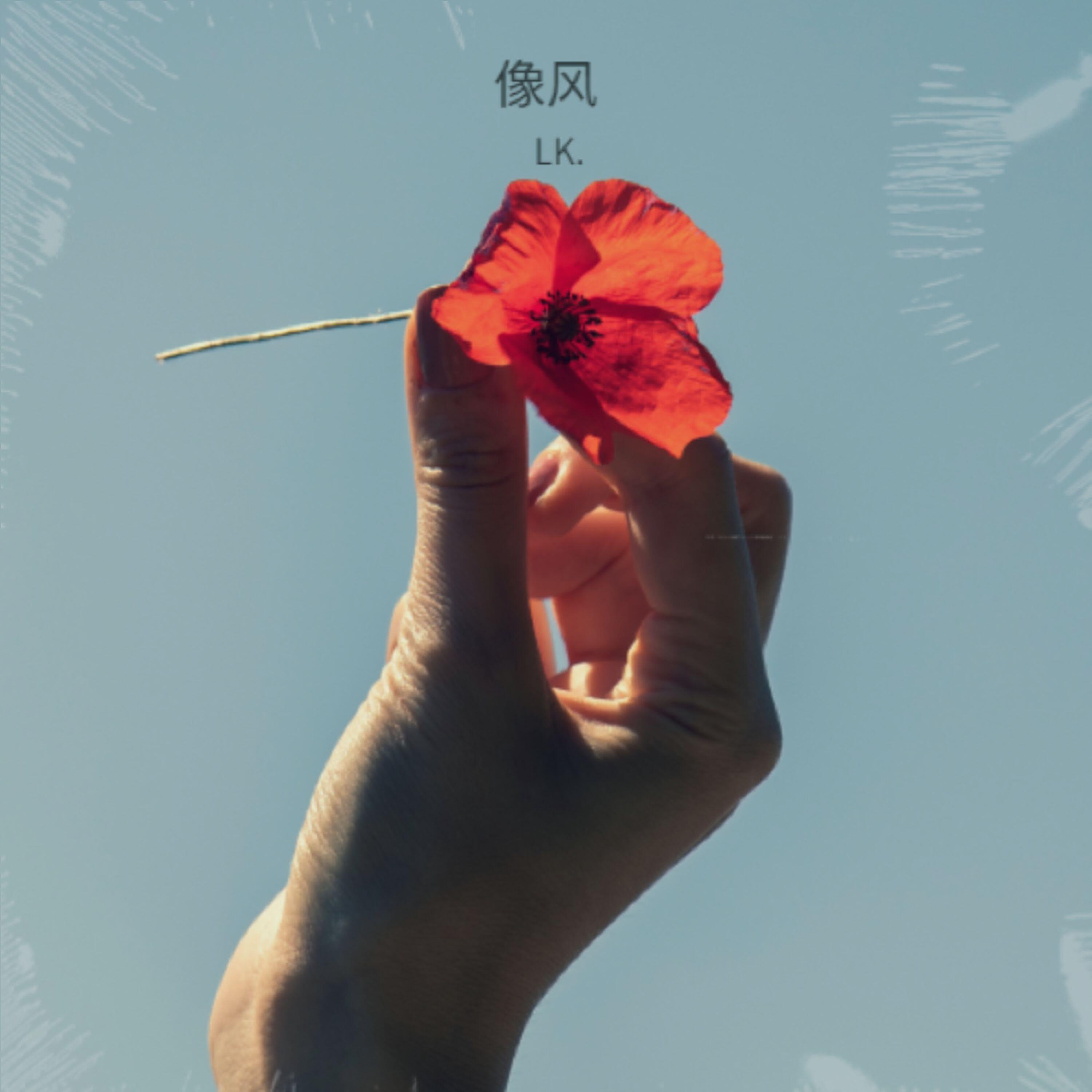 Релиз 像风